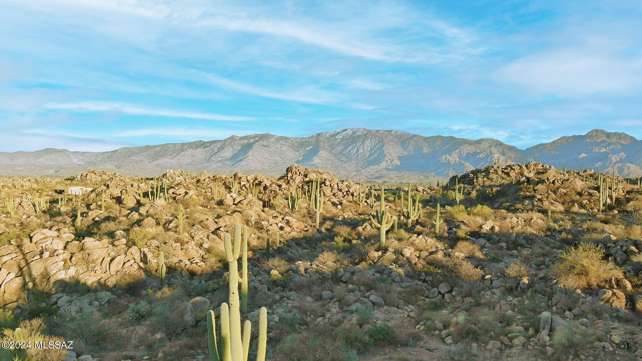 Discover an extraordinary opportunity to own a 4.65- acre lot in the prestigious, guard-gated community of Stone Canyon- one of the largest custom parcels currently available!  This expansive property offers a generous building envelope, giving you the freedom to create and construct the home of your dreams. Revel in the breathtaking panoramic views of the Tortolita Mountains to the north and the dramatic Catalina Mountains to the east. This serene desert sanctuary promises unrivaled privacy, making it the perfect  retreat within this exclusive community.  Stone Canyon provides more than just a  coveted location- residents enjoy access to a Championship golf course, a luxurious clubhouse with a restaurant and bar, and a state- of-the-art Fitness Center.