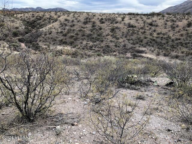 Rio Rico Ranchettes 18 - Land