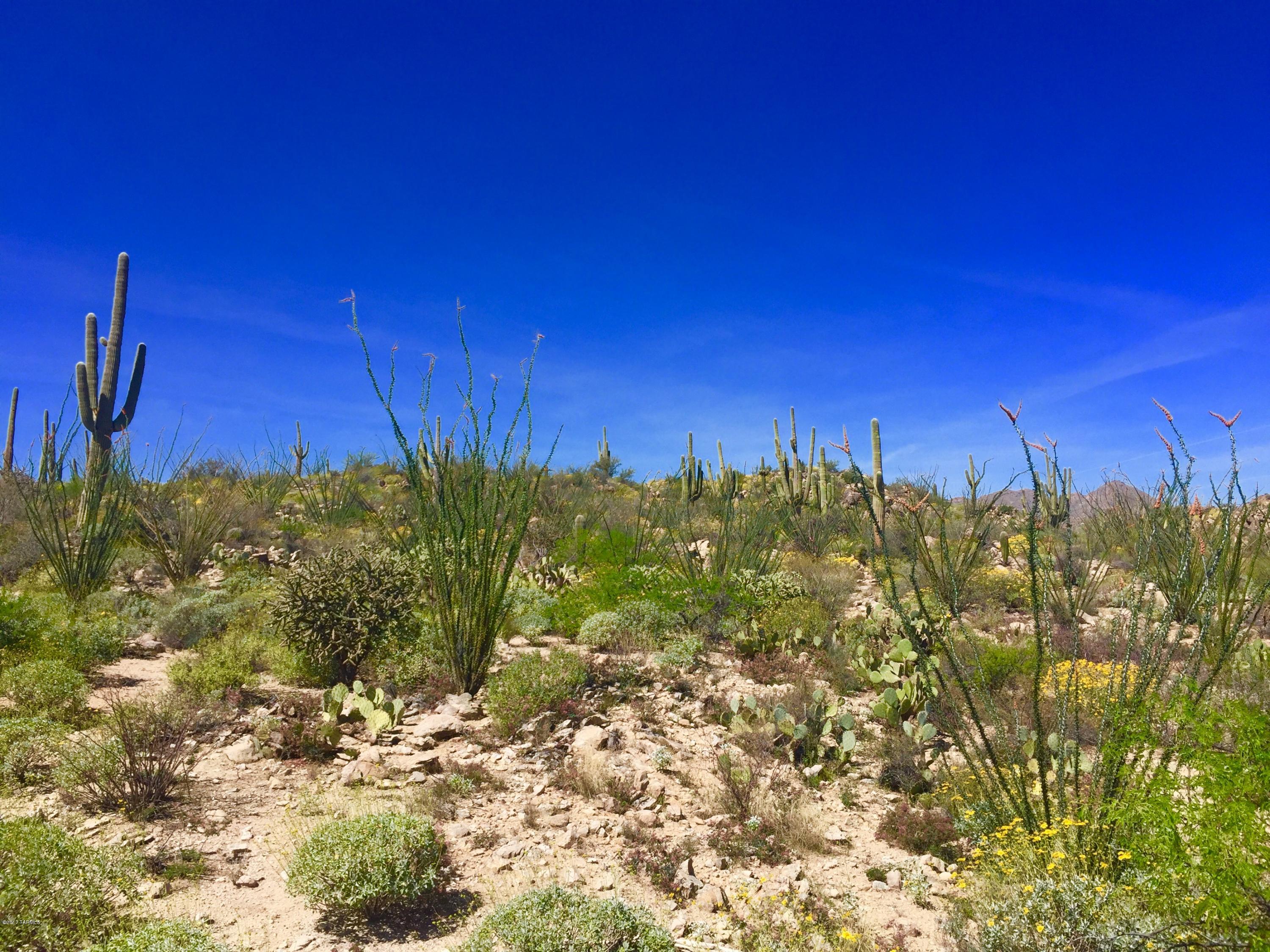 Stone Canyon VIII (486-602) - Land