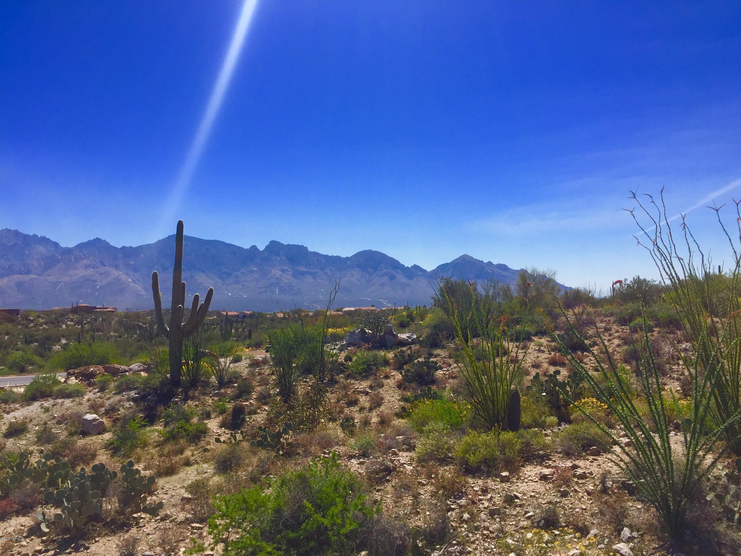 Stone Canyon VIII (486-602) - Land