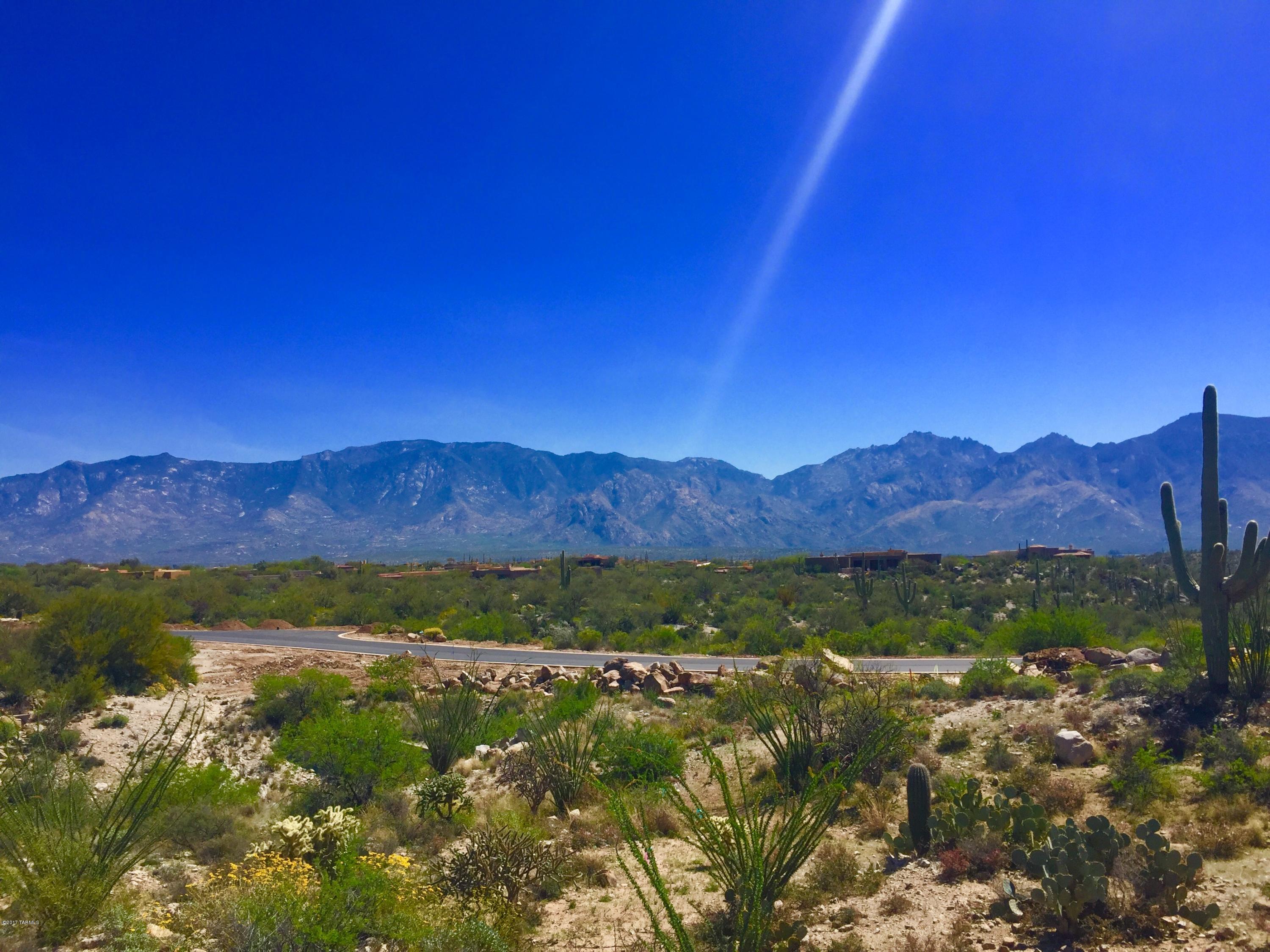 Stone Canyon VIII (486-602) - Land