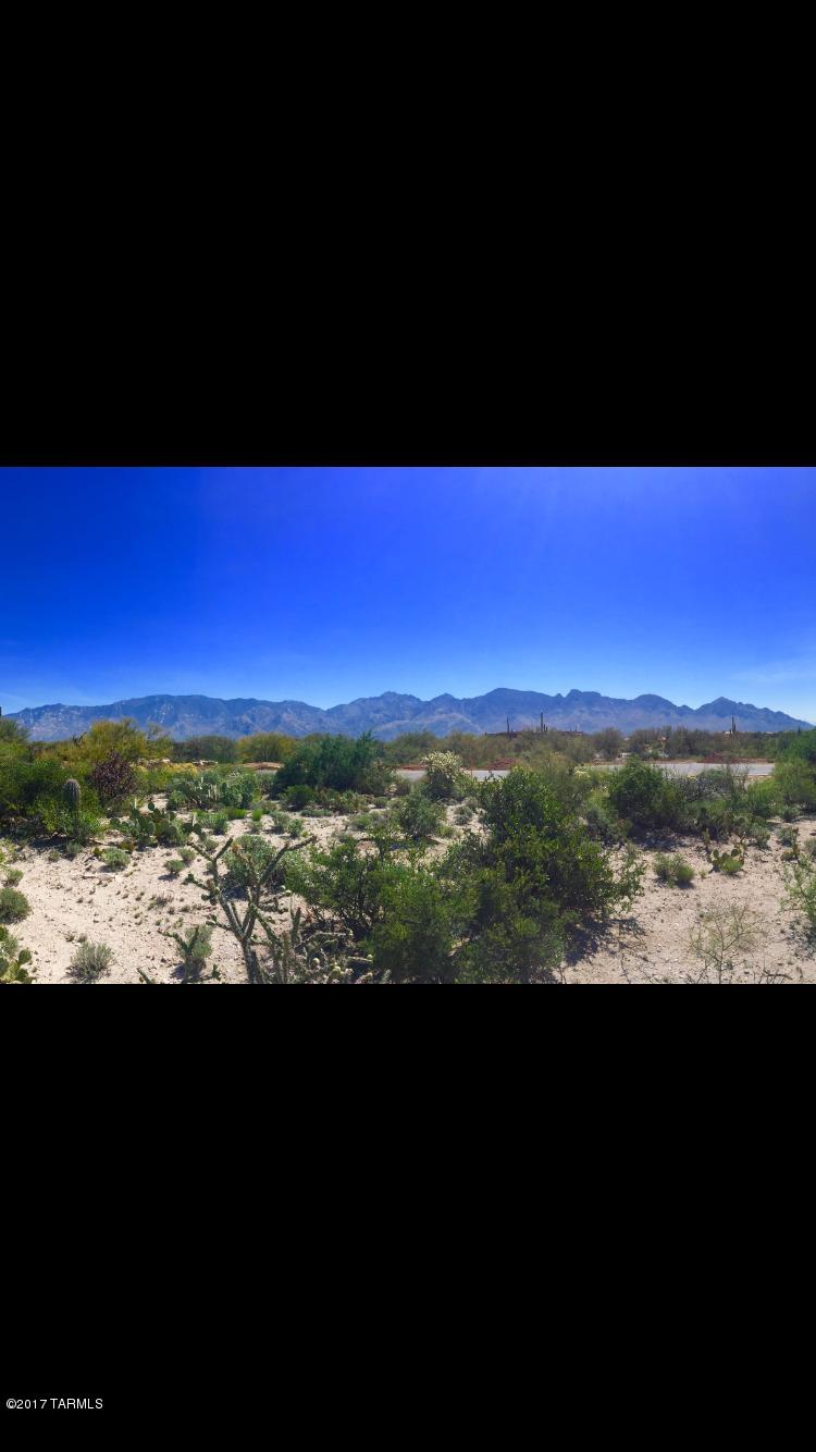Stone Canyon VIII (486-602) - Land
