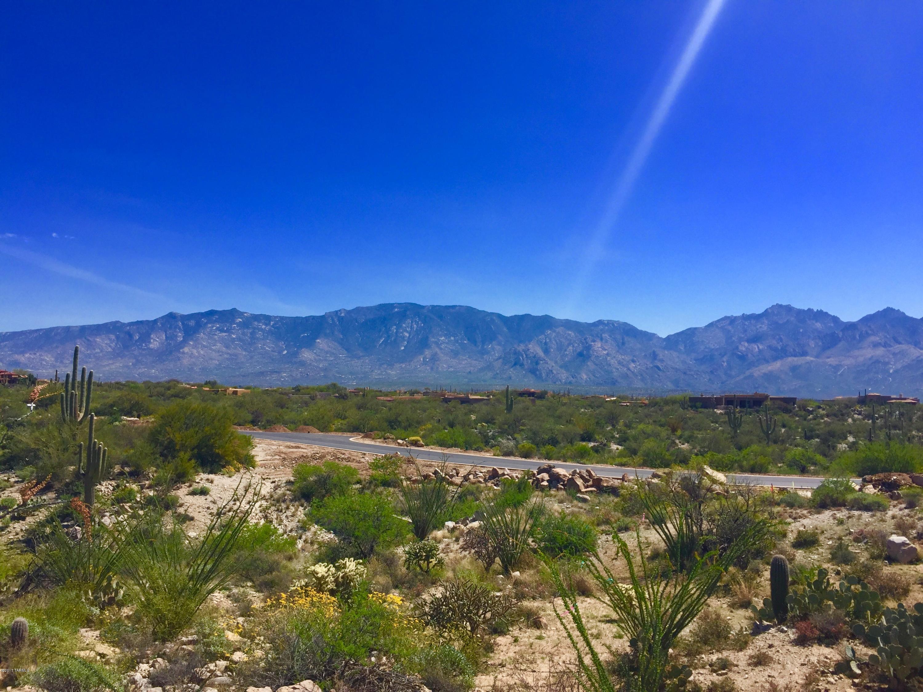 Stone Canyon VIII (486-602) - Land