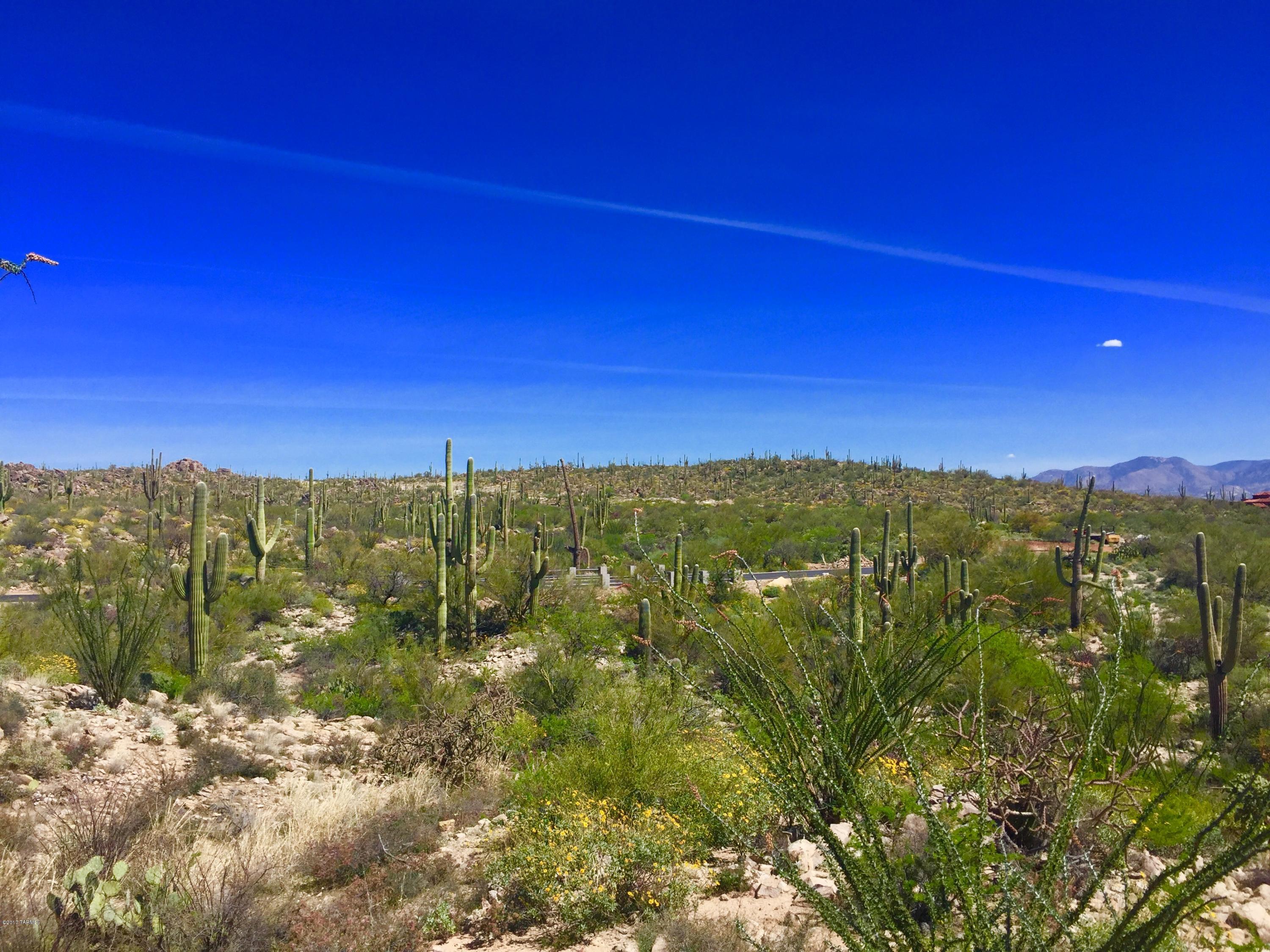 Stone Canyon VIII (486-602) - Land
