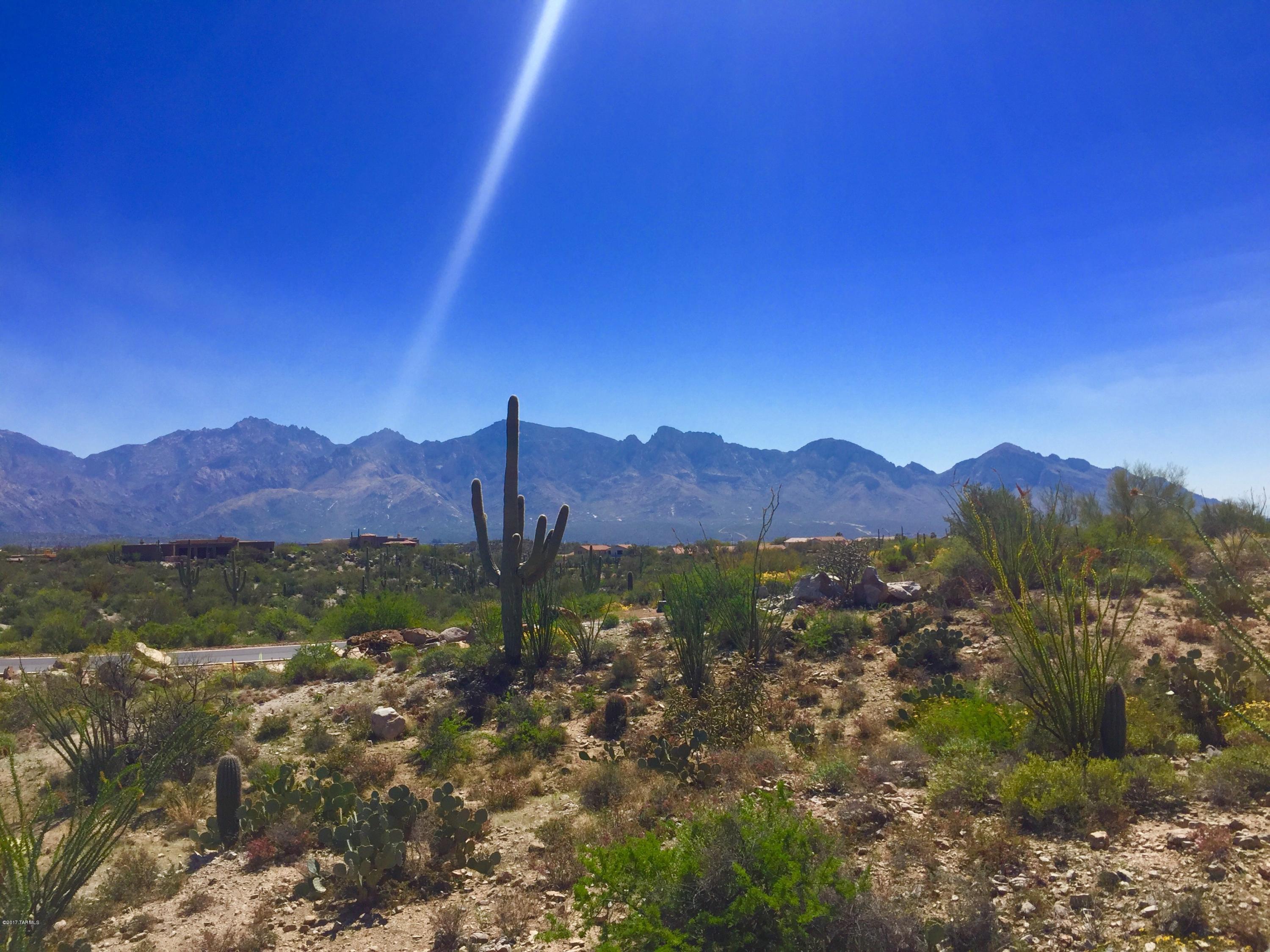 Stone Canyon VIII (486-602) - Land