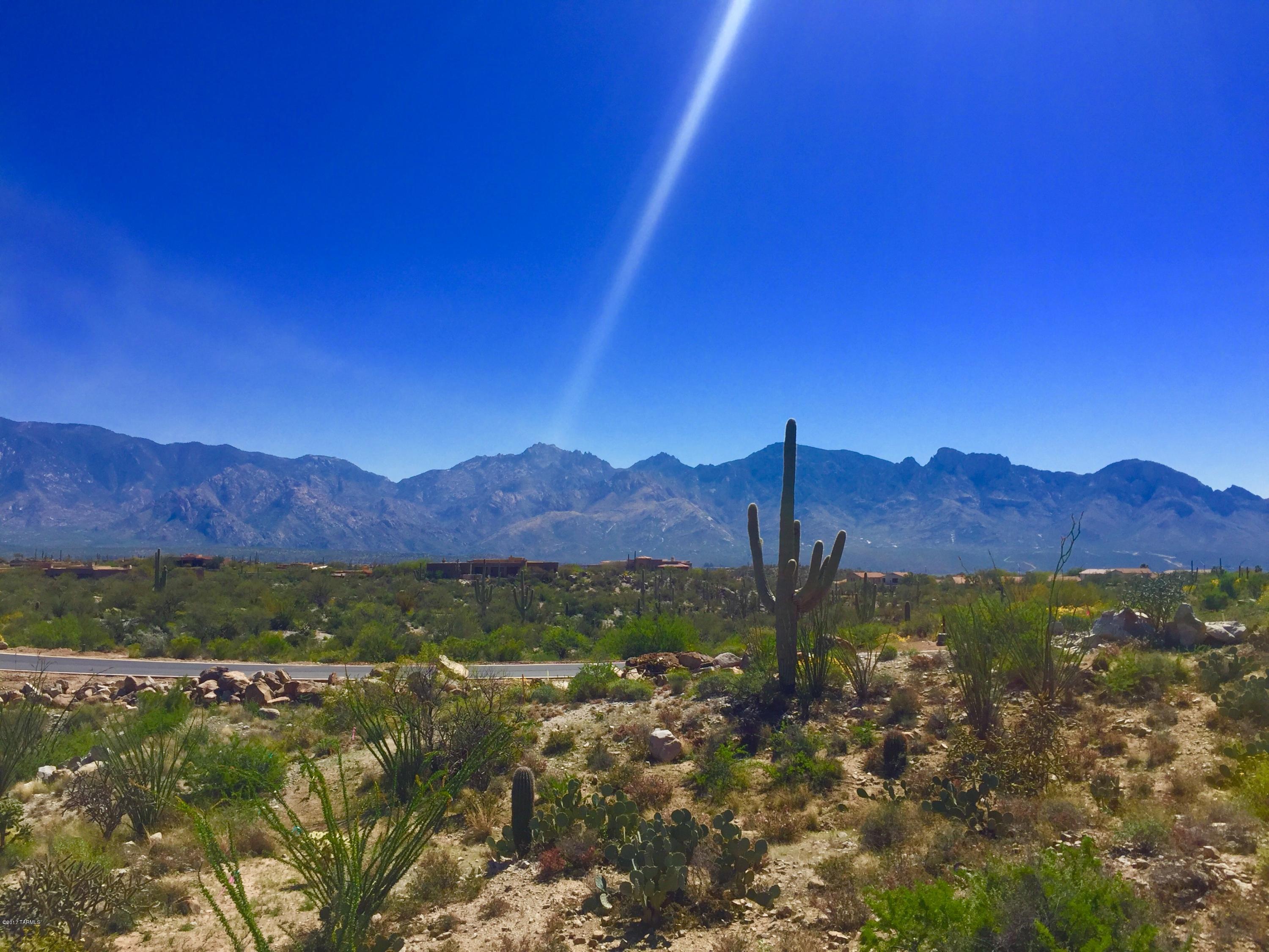 Stone Canyon VIII (486-602) - Land