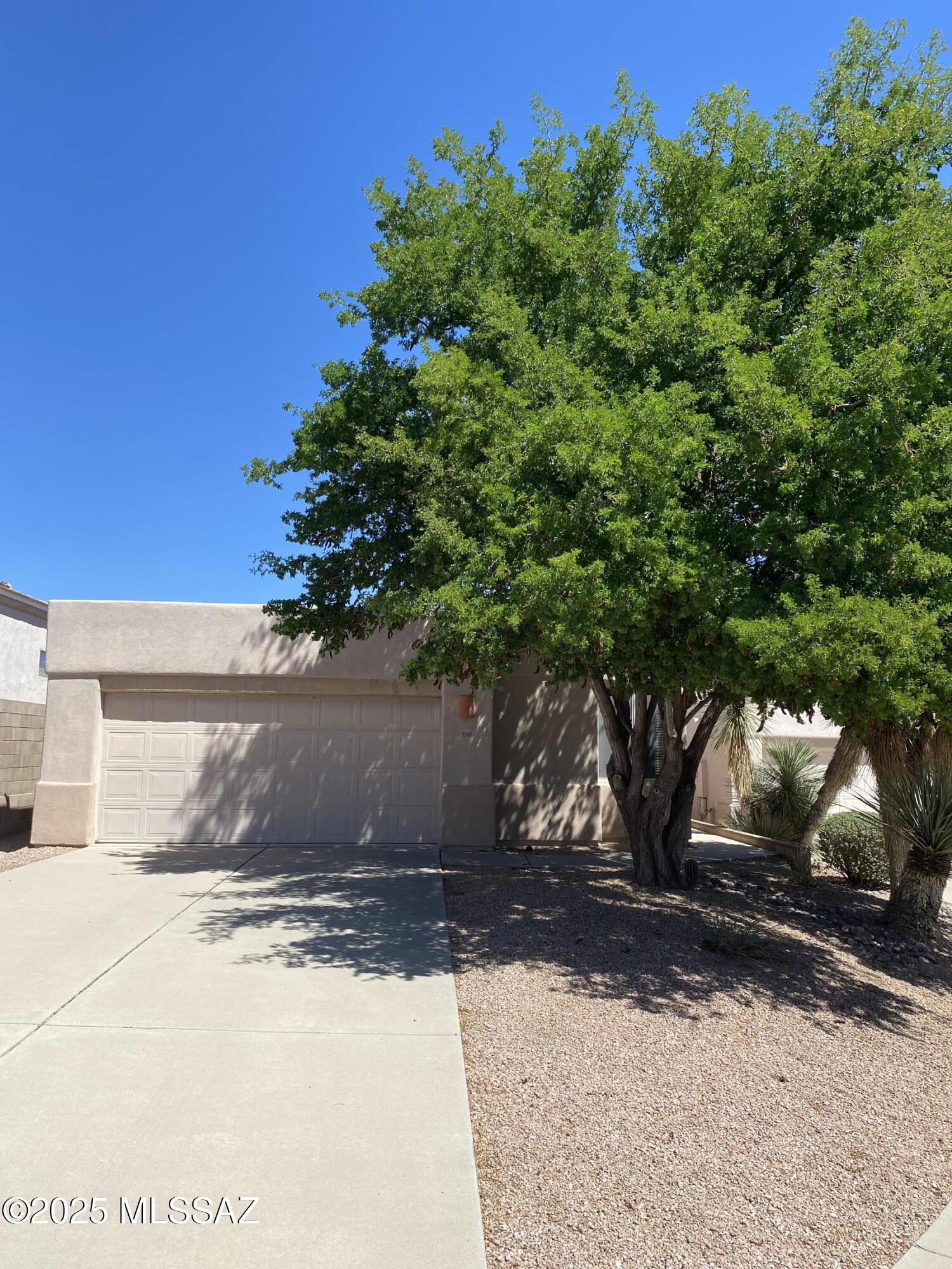Nice 3-bedroom, 2-bathroom home with Great Room, 12 foot ceilings, mountain views, 2 car garage, in a gated community offering 3 pools, spas, ramadas, and BBQs. Master bathroom features large walk in closet. Generous size backyard ready for your creative touch.