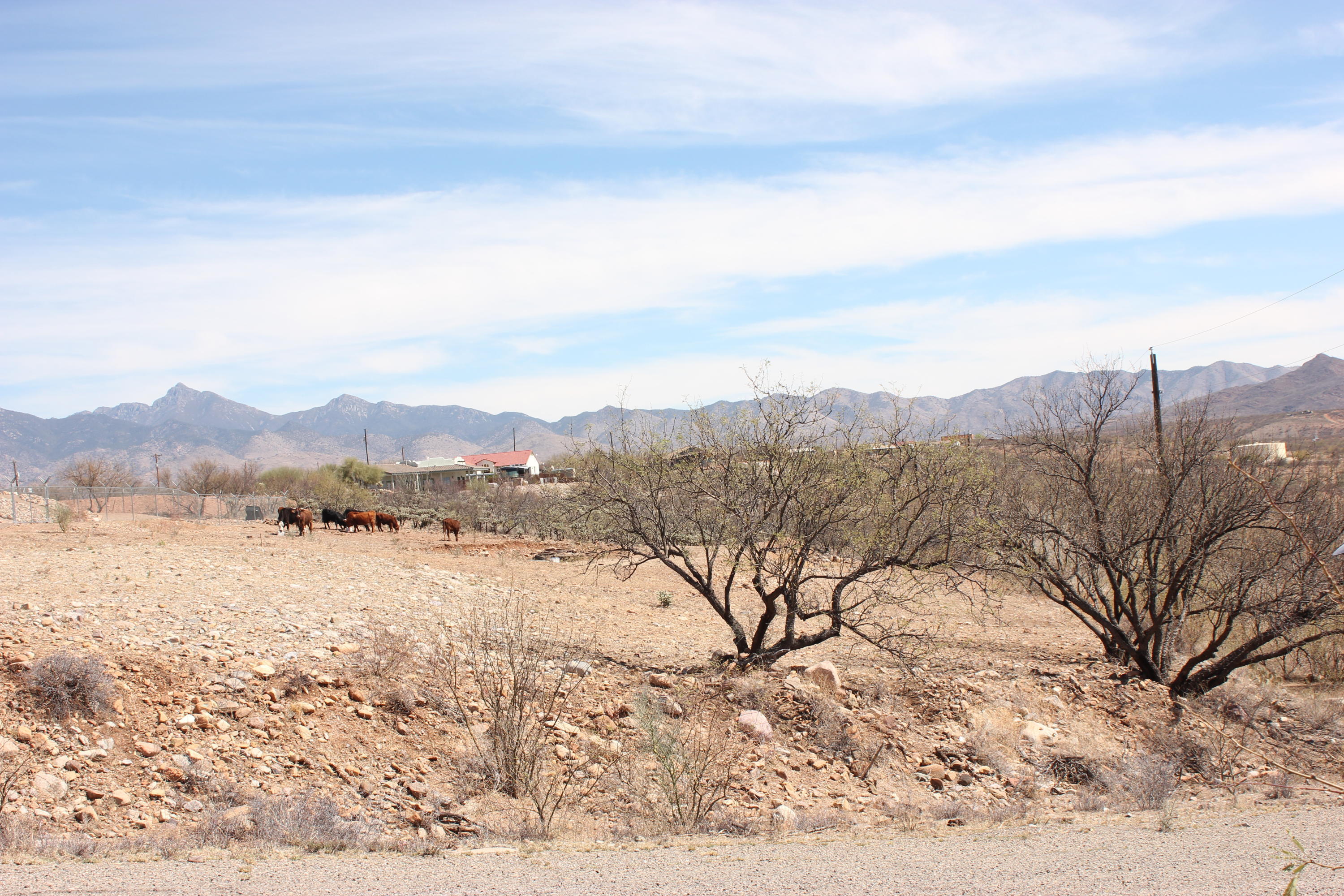 Rio Rico Villas 12 - Land