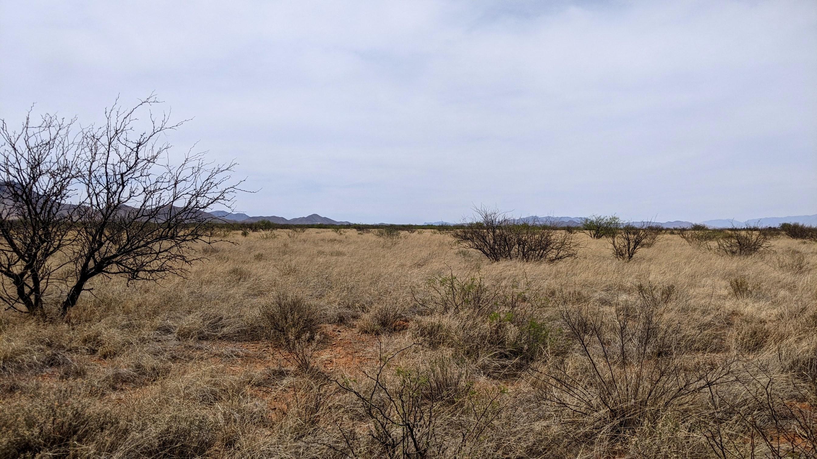 Arizona Sun Sites - Land