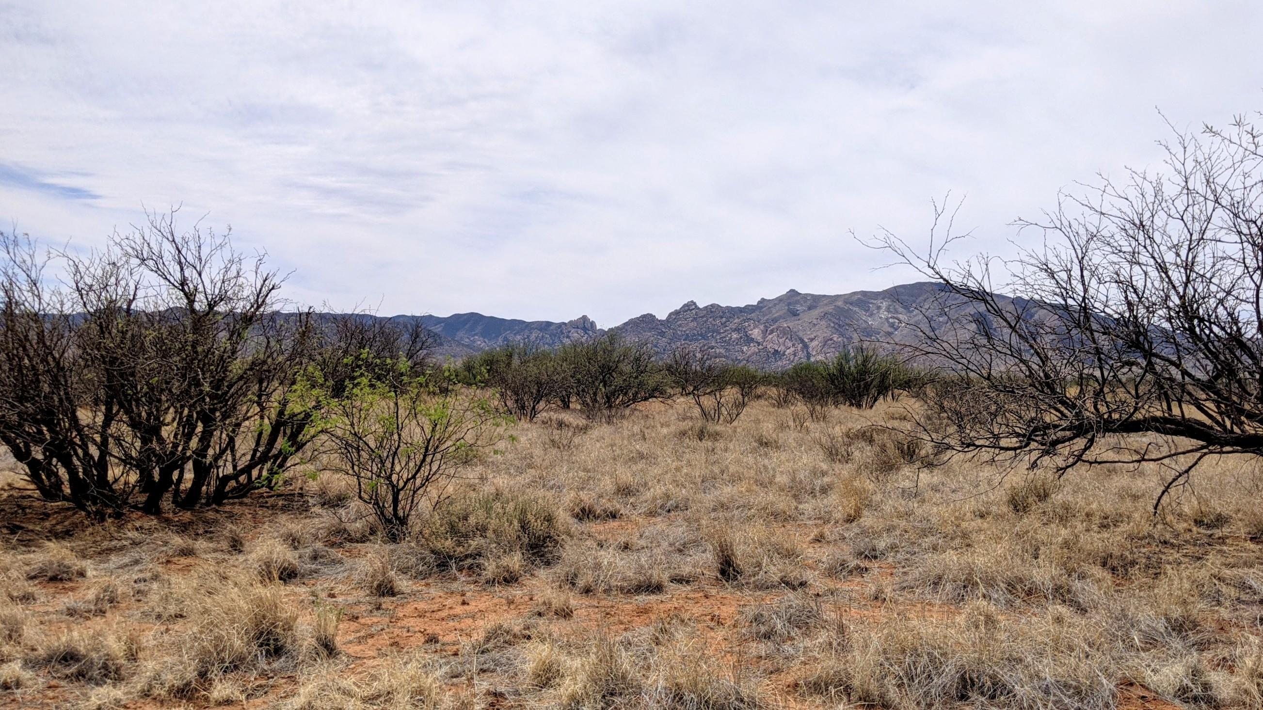 Arizona Sun Sites - Land