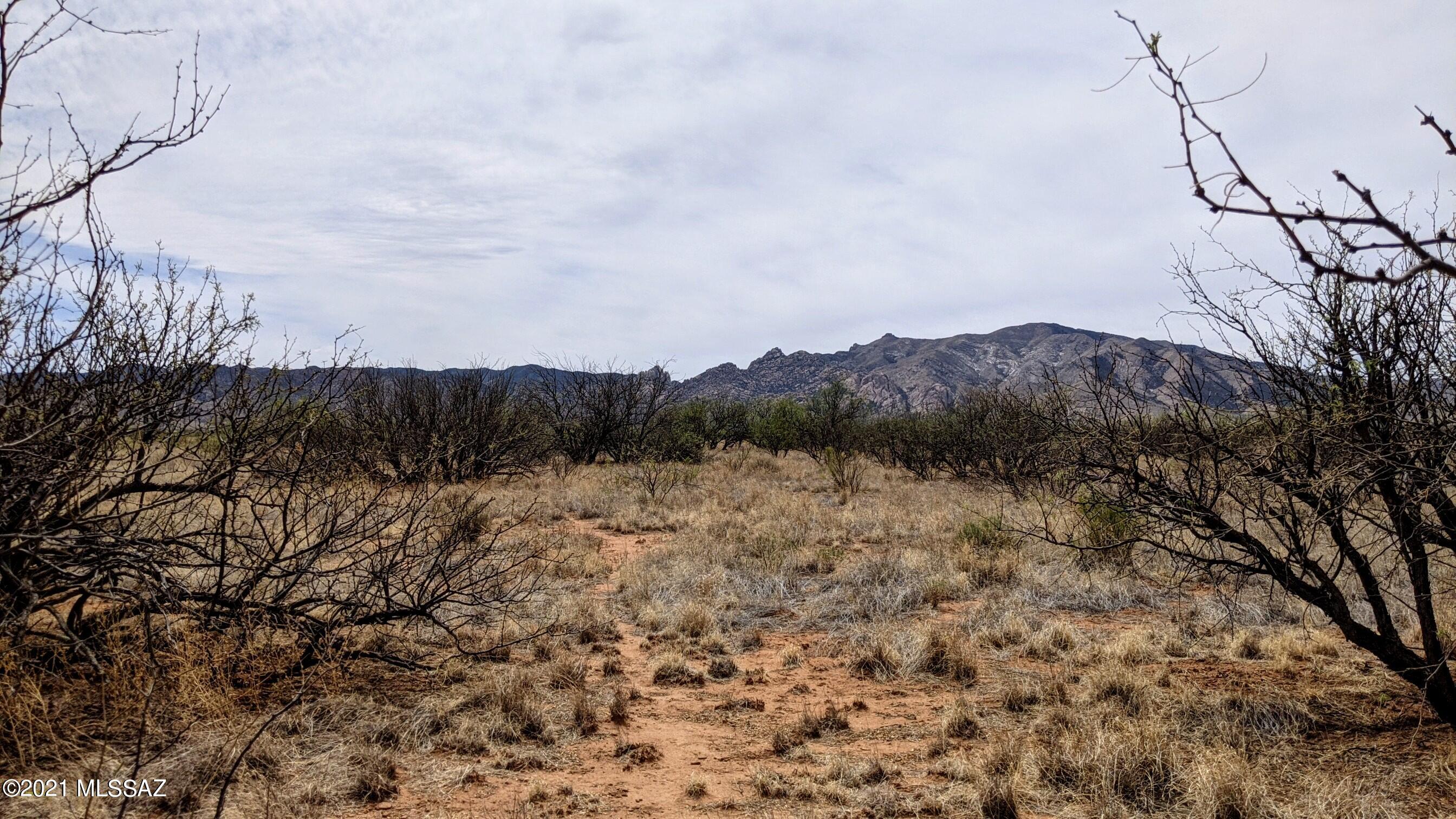 Arizona Sun Sites - Land