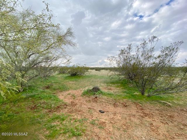 20 acres of undisturbed land ready for a new homesteader to occupy & bring joy to the desert. Set up an off grid paradise! Utility services are miles away & access is null however if you don't want any neighbors and you want peace and quiet in the Sonoran Desert under the stars, this is your spot! OWNER WILL CARRY AT $39K
 WITH $8K DOWN, 8% INTEREST FOR 8 YEARS! Located between Saddlebrook and Florence off desert Hills road about 3.5 miles from Hwy 79. If you want to camp, this could be your own private campground! If you want to build, there is so much available in today's world to build with, i.e Solar, Compost Toilets, energy efficient buildings, Earthships using the land to heat and cool your home... the possibilities are endless. Invest to buy & hold or lease to a cattle rancher!