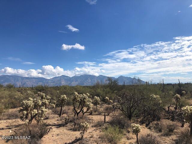 EXCEPTIONAL OPPORTUNITY IN THE TUCSON MARKET — SPECTACULAR 5.65-ACRE OASIS AT THE FOOT OF THE TORTOLITA MOUNTAINS!

Discover unparalleled desert beauty with breathtaking panoramic views of the Tucson Valley and surrounding mountains. This pristine acreage is adorned with majestic saguaros, graceful ocotillos, and striking rock formations, offering a stunning natural backdrop for your dream estate.

Experience daily magic with vibrant sunrises, captivating sunsets, and twinkling city lights from the privacy and tranquility of this serene sanctuary. Located within an exclusive community of only 13 estate-sized lots, each parcel is fully prepared with paved roads and underground utilities including water, electric, natural gas, and phone services.

Enjoy convenient access to premier shopping, dining, hiking trails, luxury resorts and multiple award-winning golf courses. Just minutes from Interstate 10, with easy connections to Tucson and Phoenix airports, this location offers the perfect blend of seclusion and accessibility.
Create your exceptional lifestyle in this rare desert retreat- schedule your visit today and envision your future here.