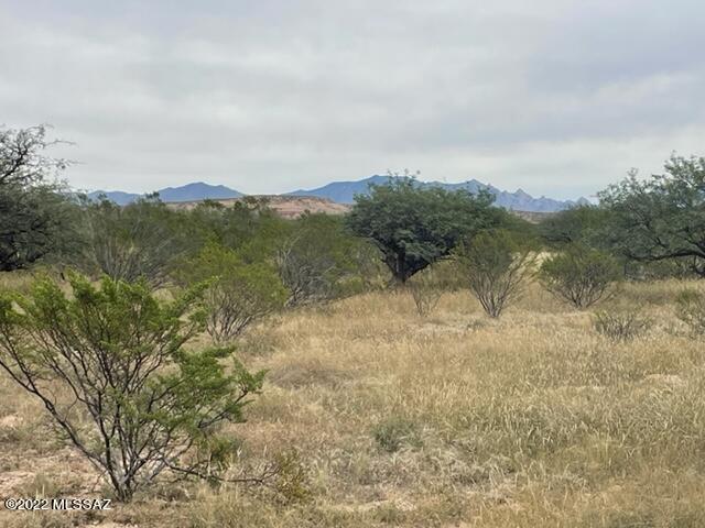 40 Acre Parcel located in Benson but on the St David line. Has access off of S. Lonesome Rd, to Taylor Pass. Great property to homestead or Recreational Getaway. Horses allowed. Unrestricted Land! No HOA. Zoned RU-4. Can subdivide. Good surrounding Mountain, panoramic views. Very private area but only a few minutes to downtown Benson and I 10. 20 Minutes to Tombstone. Manufactured homes allowed. Seller says he remembers from years ago that there may be a well on the lot. Condition, location and existence is unknown. Buyer to further investigate. No value is given to possibility of a well. Price is for vacant lot.