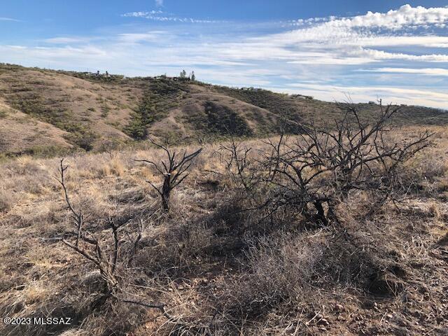 Rio Rico Ranchettes 9 - Land