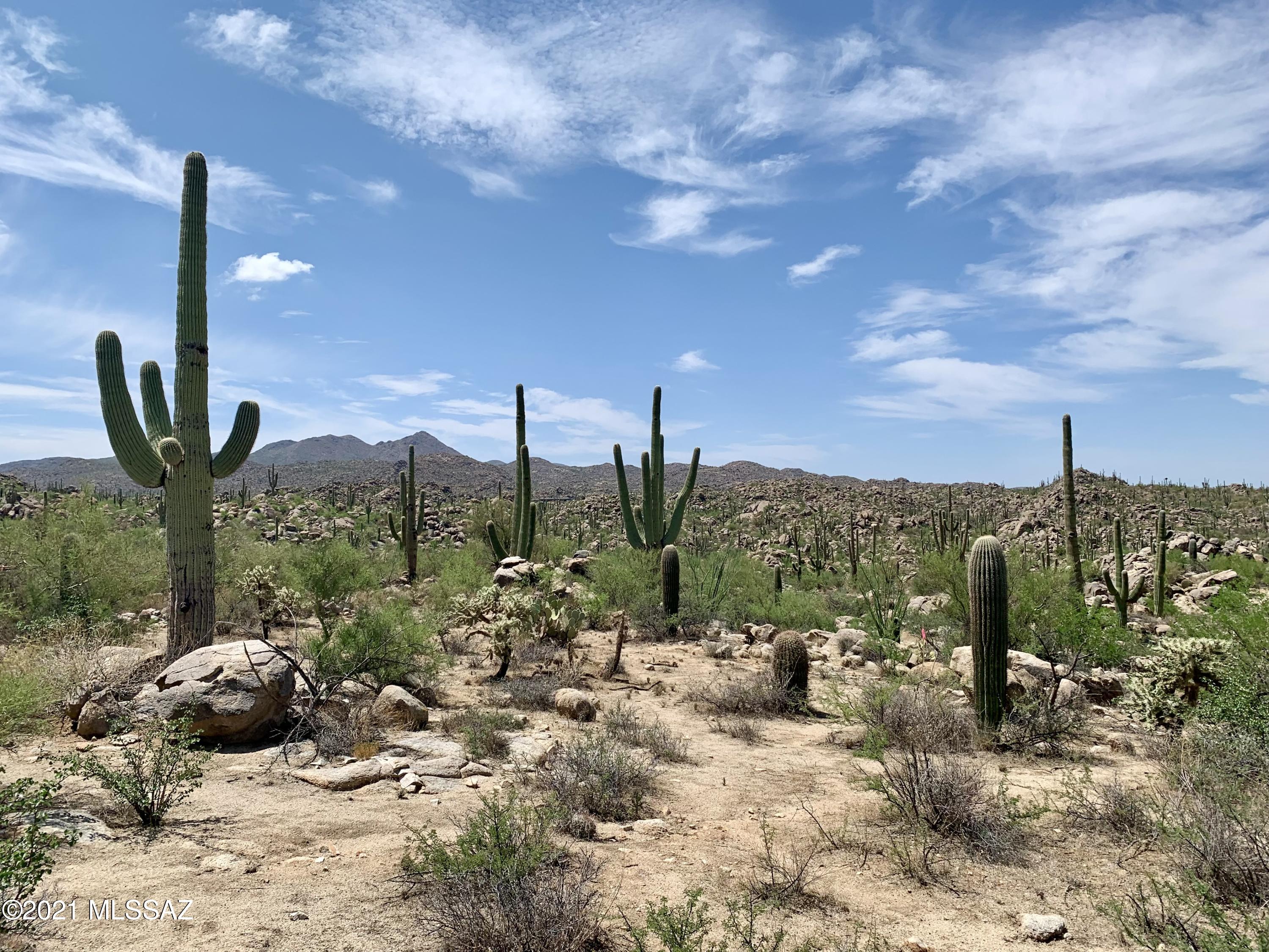 Stone Canyon VIII (486-602) - Land