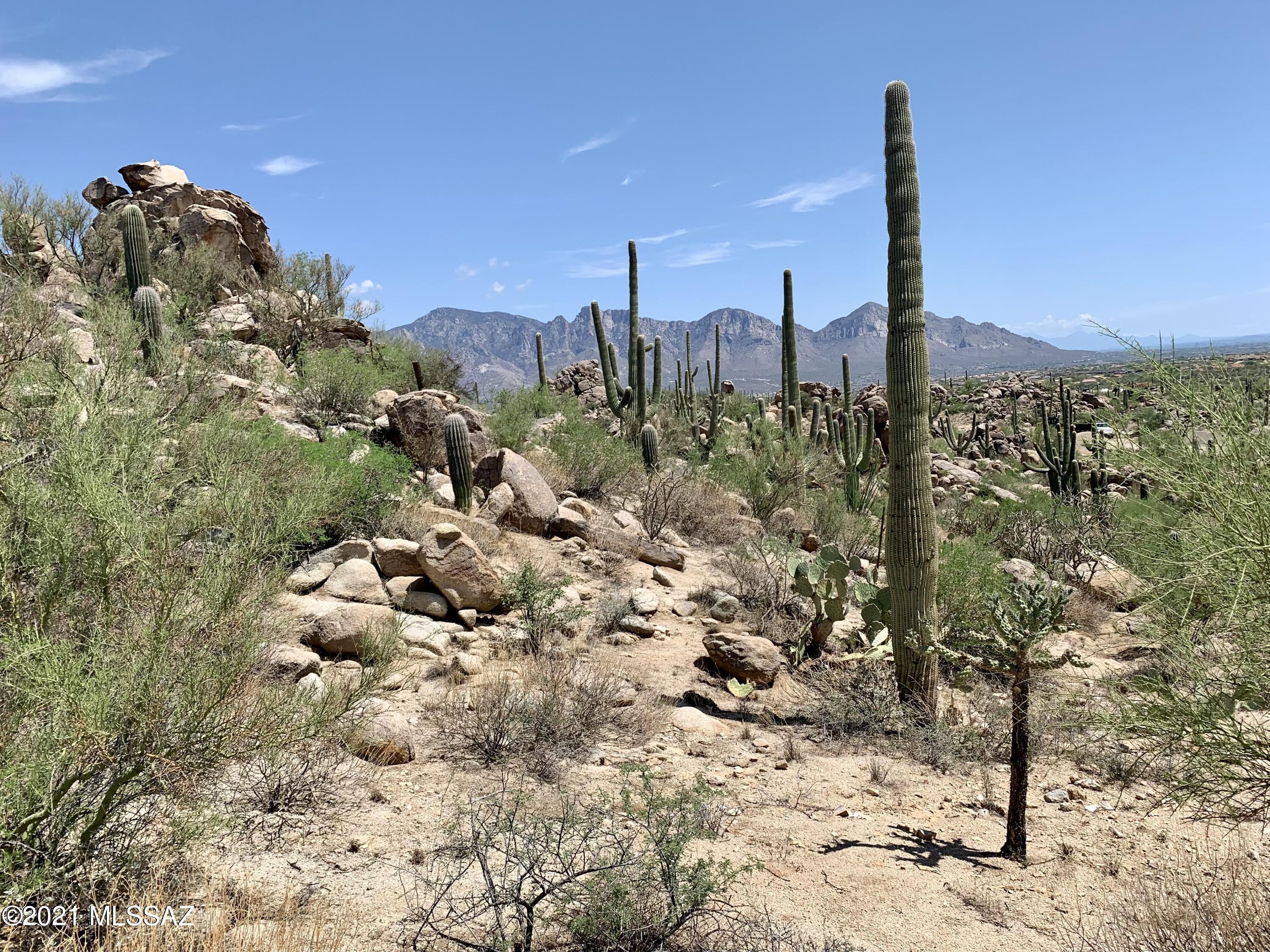 Stone Canyon VIII (486-602) - Land