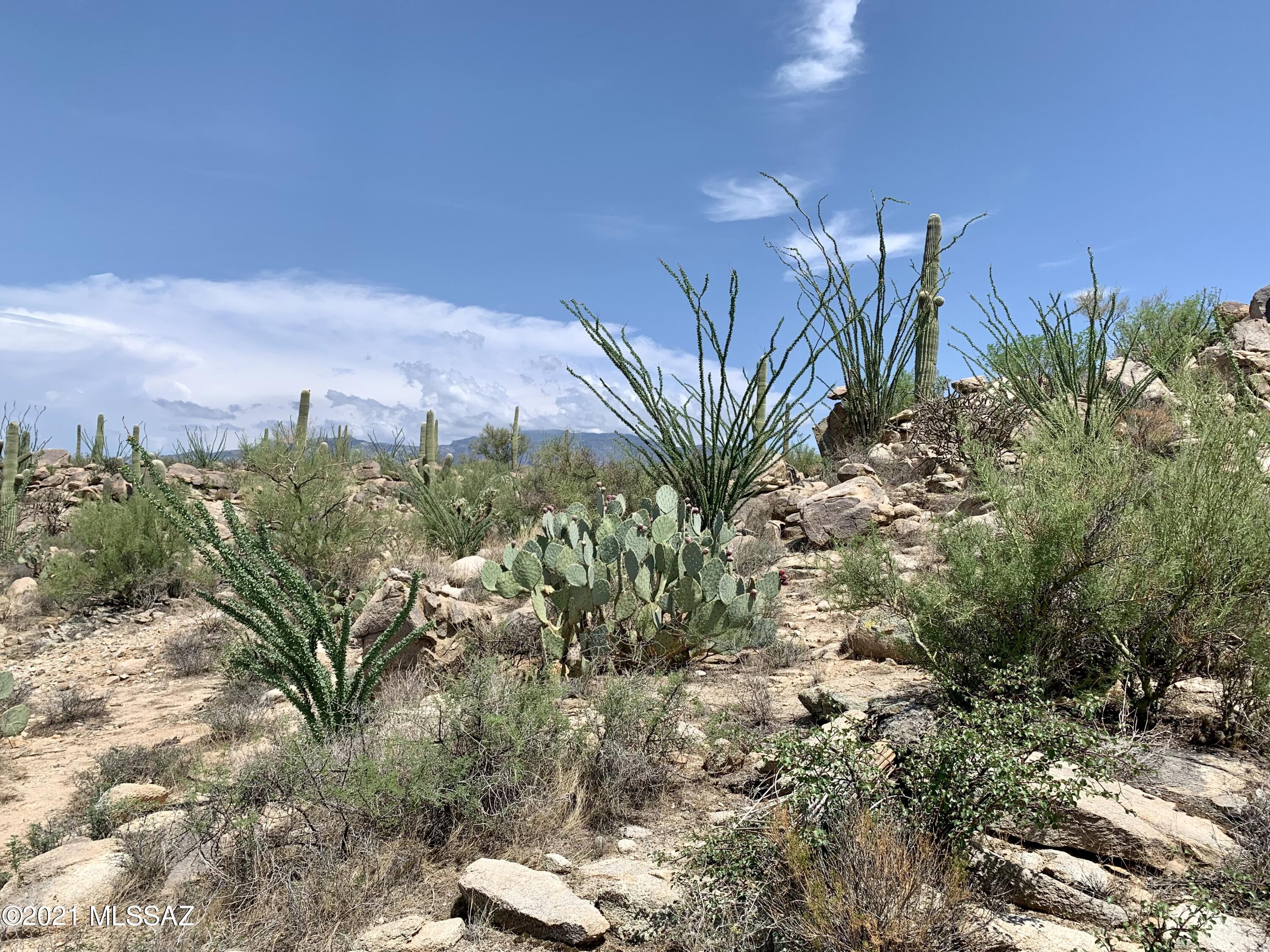 Stone Canyon VIII (486-602) - Land