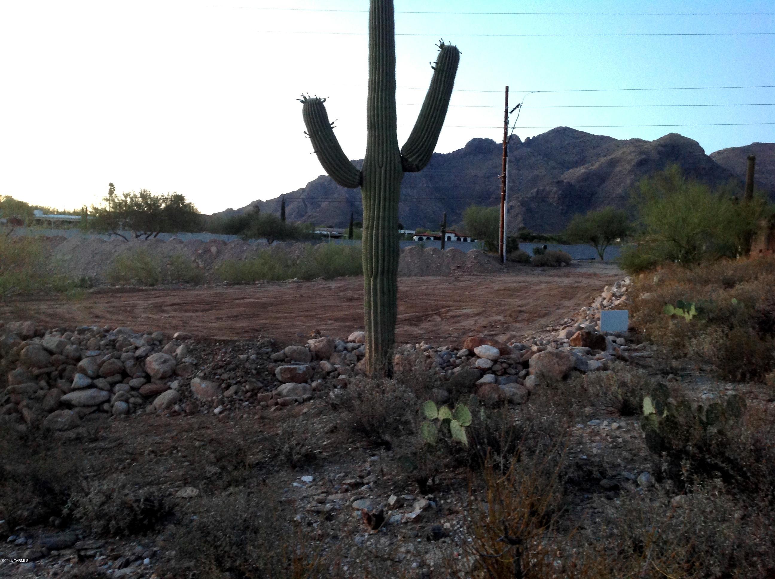 Skyline Foothills Estates - Land