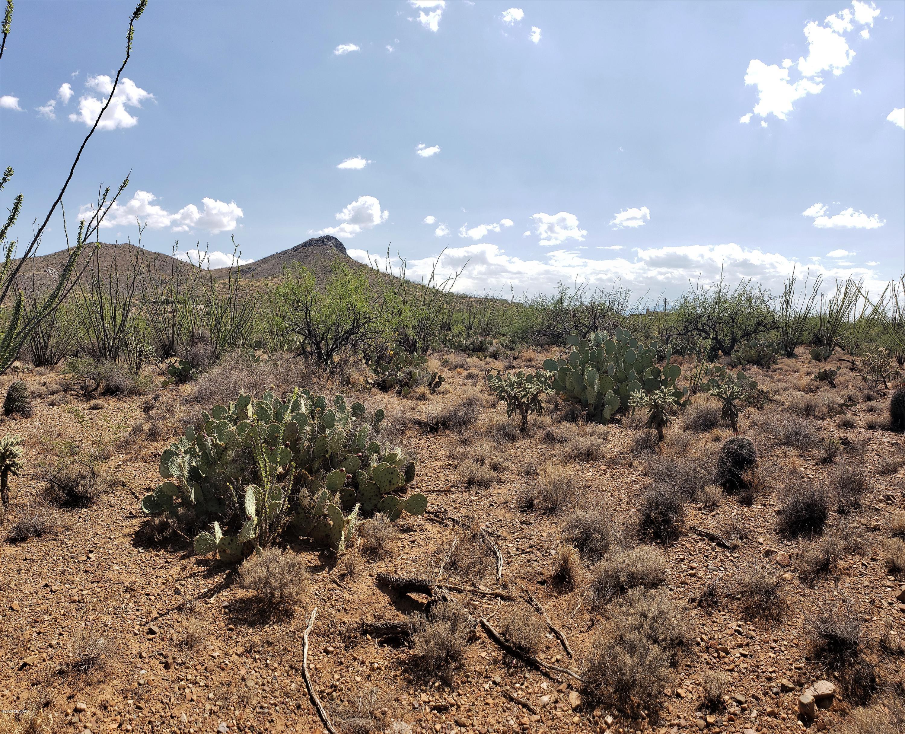 Level land for an easy build with long distance view of nearby and distant mountain ranges. Water, electric, telephone & natural gas to the lot line. Septic required. (shouldn't cost more that $7,000 to install) Great area to escape the hustle of the city. No HOA, but there is a Property Owners Association to provide common area insurance ($1,000,000) as well as dirt road maintenance. Cost is only $120/year. As you might have guessed, there are a few Ocotillos out here. EASY DRIVE to and from the area.