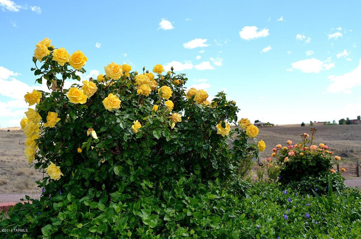 Sonoita Estates (1-18) - Residential