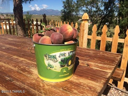 Sonoita Estates (1-18) - Residential
