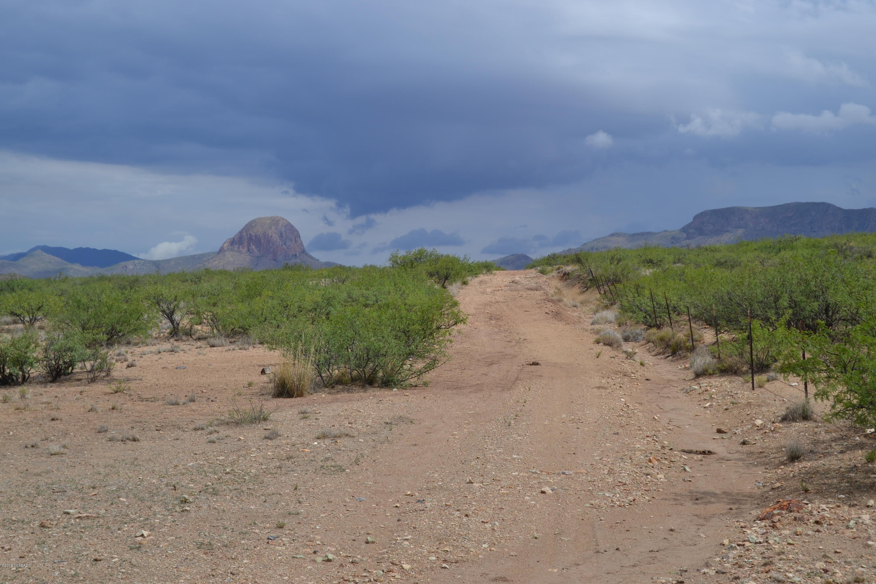 Gorgeous property in Southeast AZ awaits you! This property is private yet easy commute to the town of Douglas. The views are unbeatable in
this location and power is approx 250 ft away, property is partially fenced and decent roads to access. Don't miss this wonderful opportunity to call this one yours! Motivated seller!