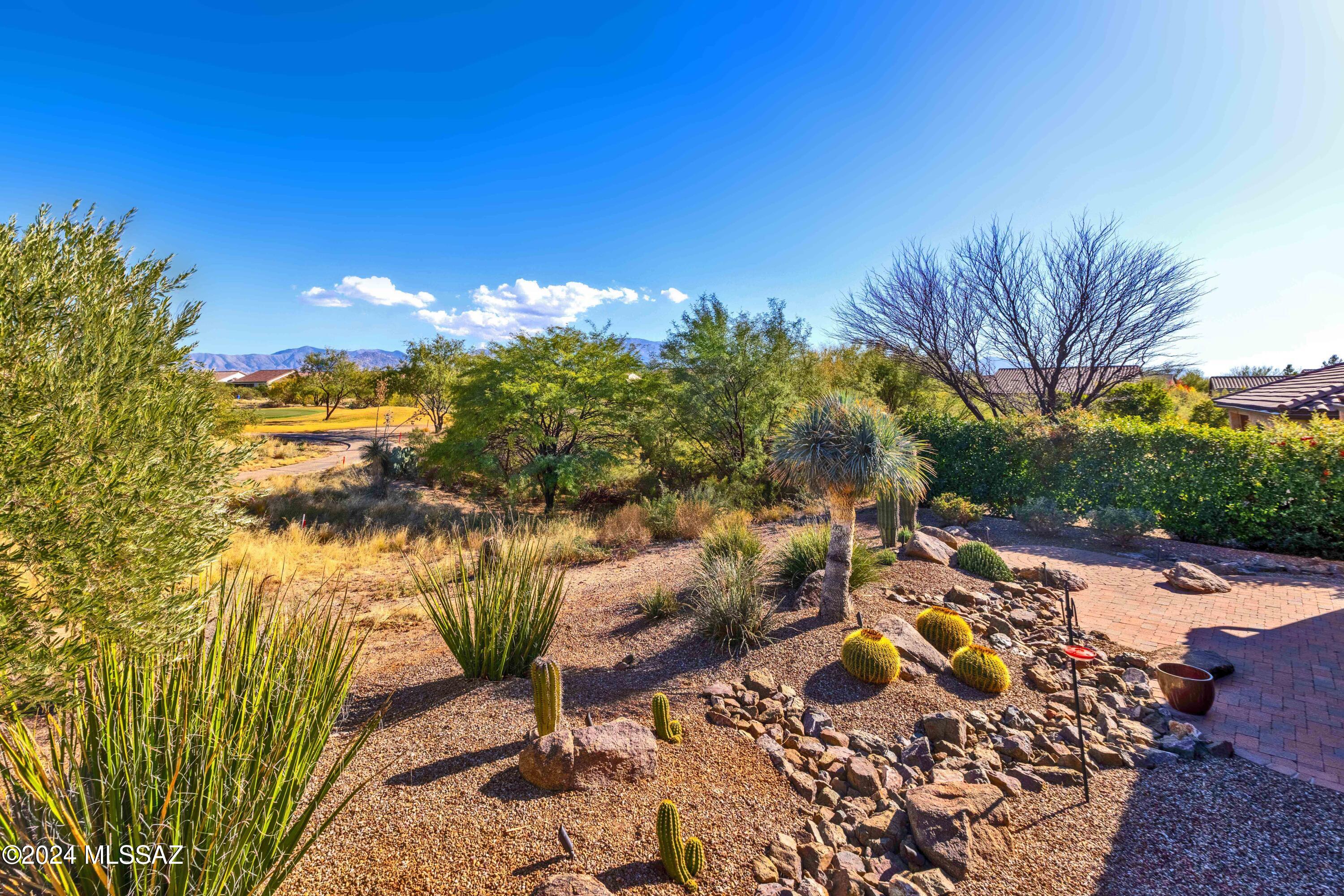 Saddlebrooke Ranch - Residential