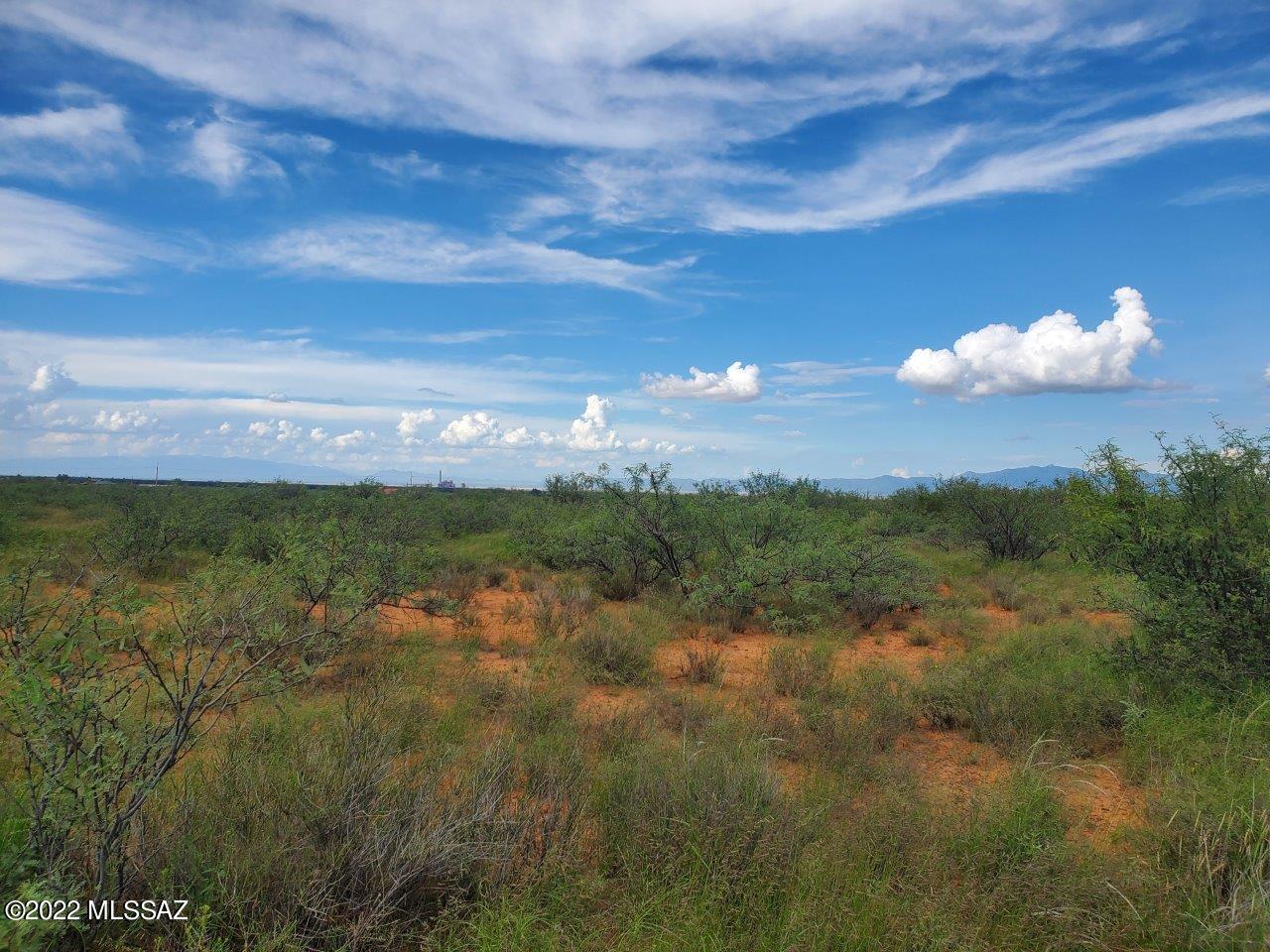Future Investment Amazing opportunity to own your own 1.17 acre parcel of Sonoran Desert property northwest of Pearce AZ. Site built homes only, power in the area but not close, great solar potential, drill well or haul water septic is required. Nice flat lot with easy access to I-10 and US Hwy 191 with great mountain views and Sonoran Desert Sunsets. Just a few minutes from Pearce with some amenities but only 1 hr 11 min from downtown Tucson AZ and the endless amenities it has to offer. Come enjoy the peace and tranquility at this rural retreat away from the hustle and bustle of the city life. There is plenty open spaces for hiking, biking, horseback riding and ATV's. Chiricahua Mountains is a beautiful area to cool off from those hot summer temps. Owner/Agent
