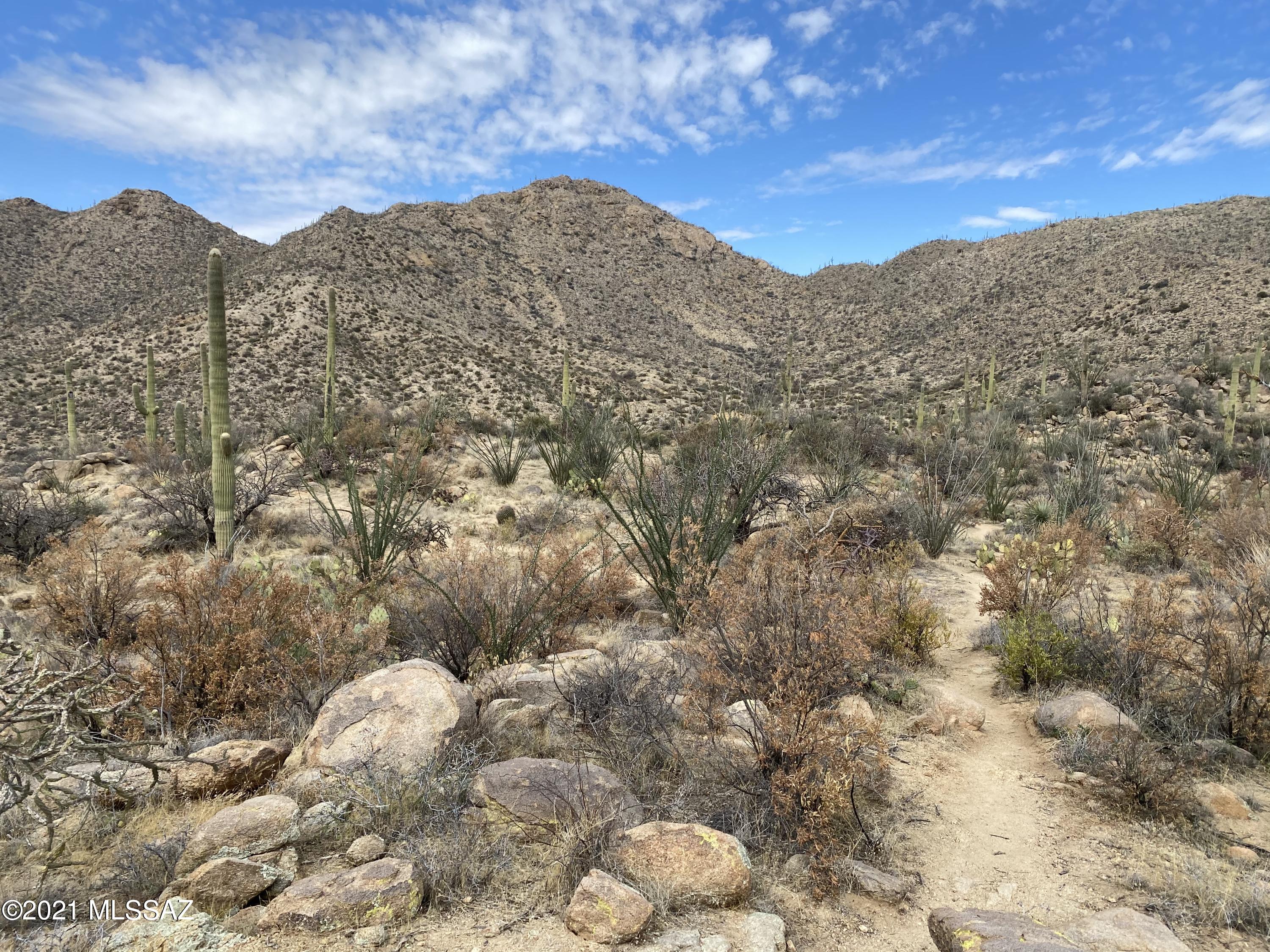 Canyon Pass V At Dove Mountain (280-331) - Land