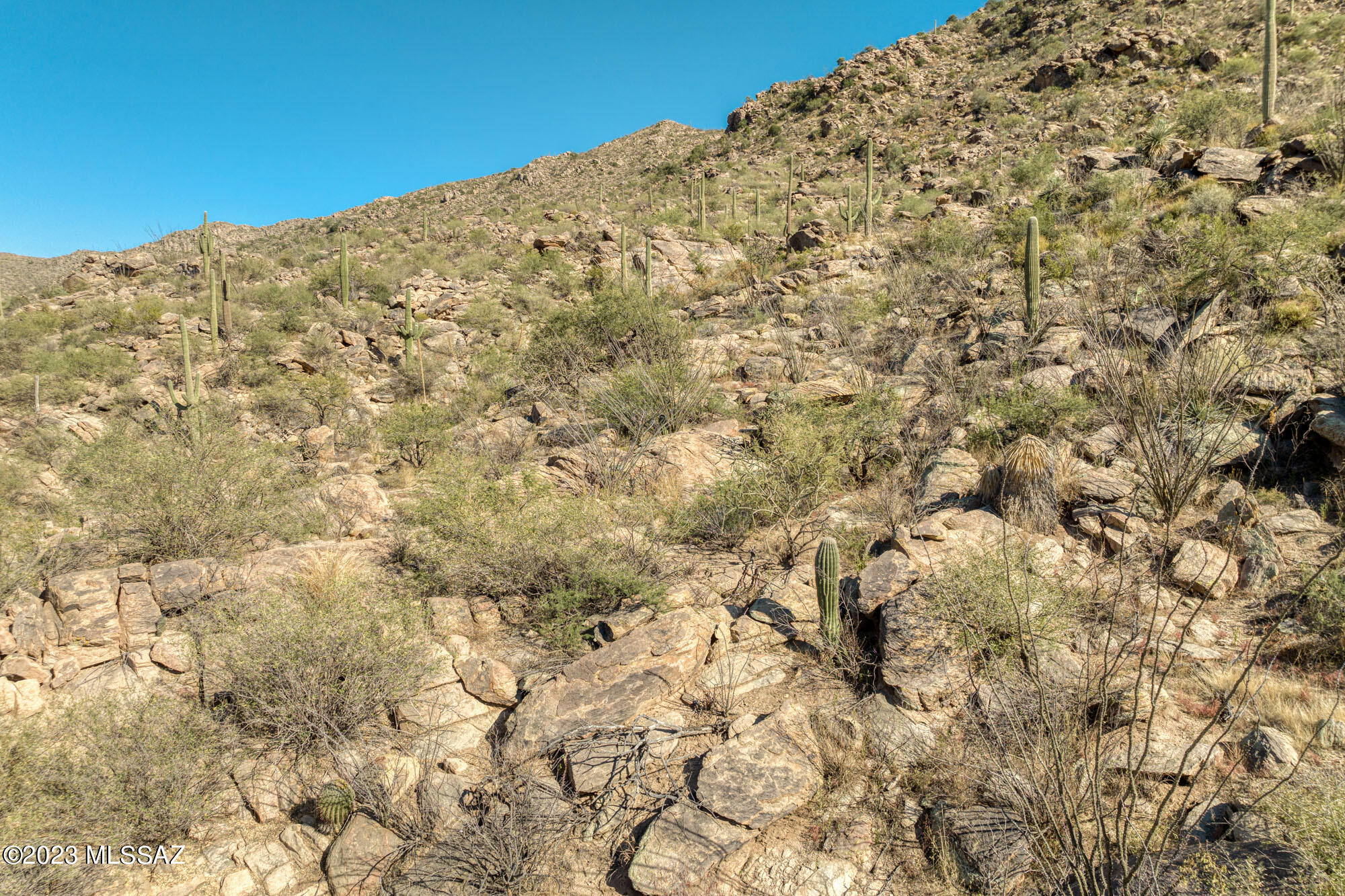 Canyon Pass III At Dove Mountain (111-181) - Land
