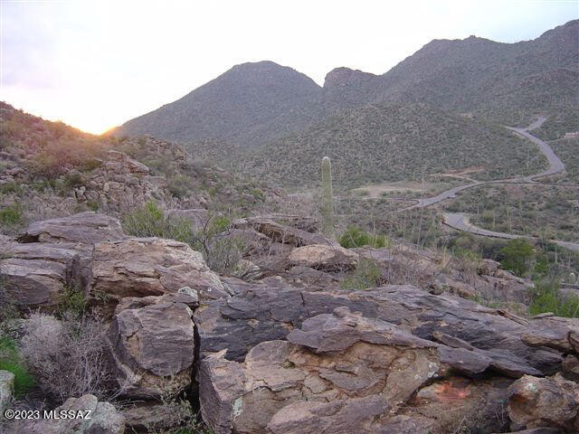 PRICED TO SELL! This stunning 4.3 Acre lot is set high in the Canyon above the Dove Mountain Communities with privacy and outstanding views in every direction.  Drive over a stone bridge to access the home site on a road that circles a beautiful stand of saguaros and serves only two other building sites.  Hundreds of spectacular saguaro cacti and time sculpted boulders call this hillside home.   Nestled into a private ridgeline,  this building site is separated from other lots by a significant distance and beautiful and lush ravine on either side make it a one of kind private vista for a spectacular custom home.  Located nearly 2 miles up Dove Canyon Pass from the primary Canyon Pass entrance, you leave behind the traffic and noise while enjoying easy access within minutes.  The build The build site is secluded and yet supported by all city services and power to the lot line.   Canyon Pass features miles of private hiking trails and is located near the Ritz Carlton Resort, several world class golf courses, shopping and dining.