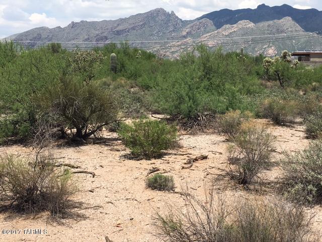 Flecha Caida Ranch Estates - Land