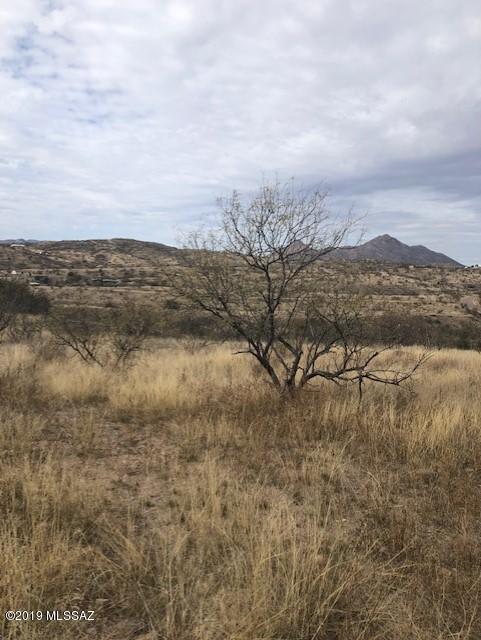 Rio Rico Ranchettes 14 - Land