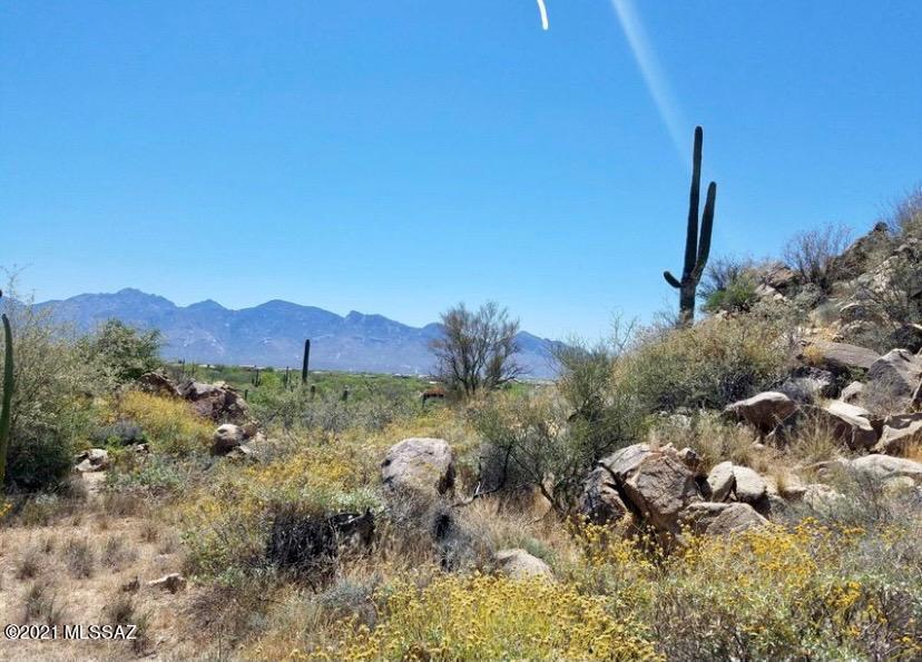 Stone Canyon II - Land