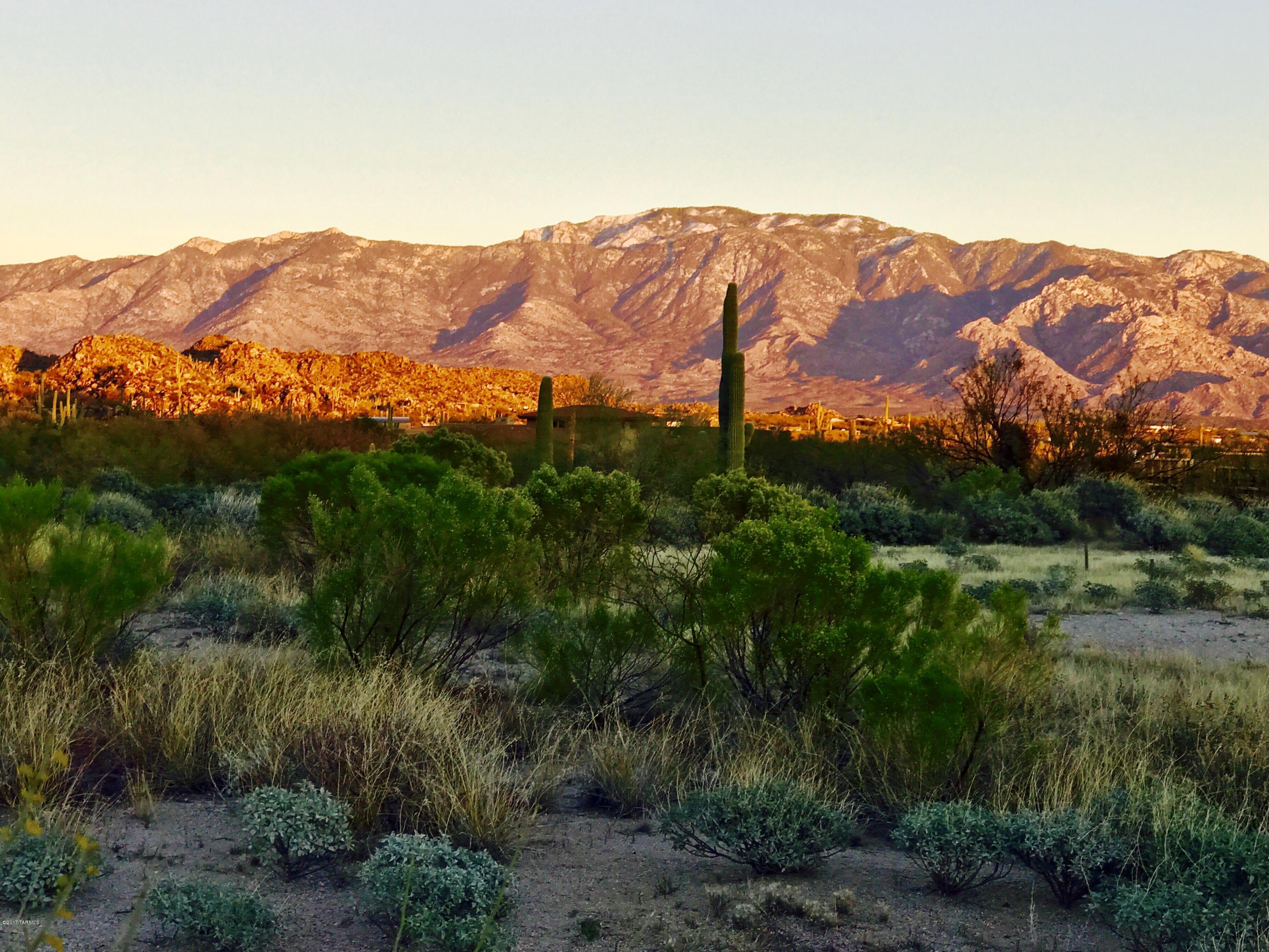 Stone Canyon III - Land
