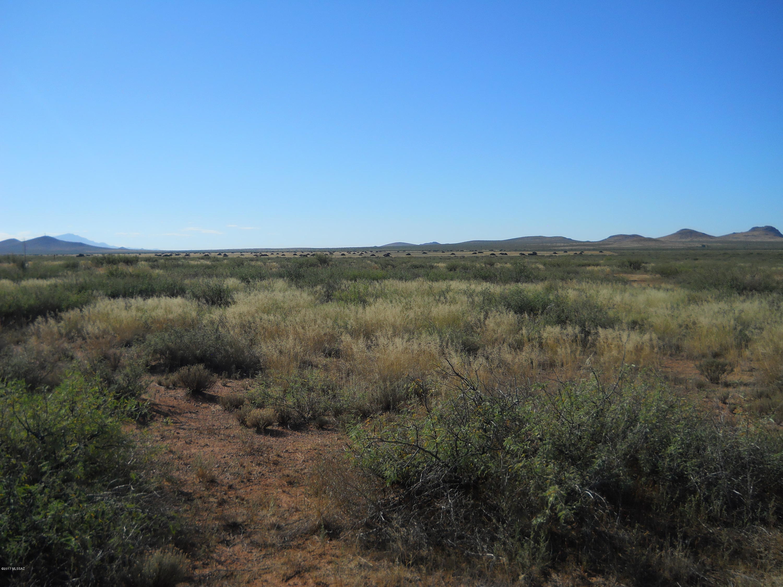 Great property view in Deer Haven. Not in flood zone 37 acres located close to paved Kansas Settlement Road. Lot is subdivided into two parcels. Parcel 401-01-119A is 27 acres priced at $11,400 and parcel 401-01-119B is 9.2 acres priced at $5,500 or both parcels for $16,900.