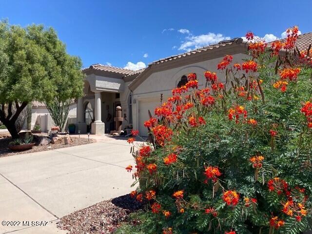 Rancho Vistoso Neighborhood 10 - Residential