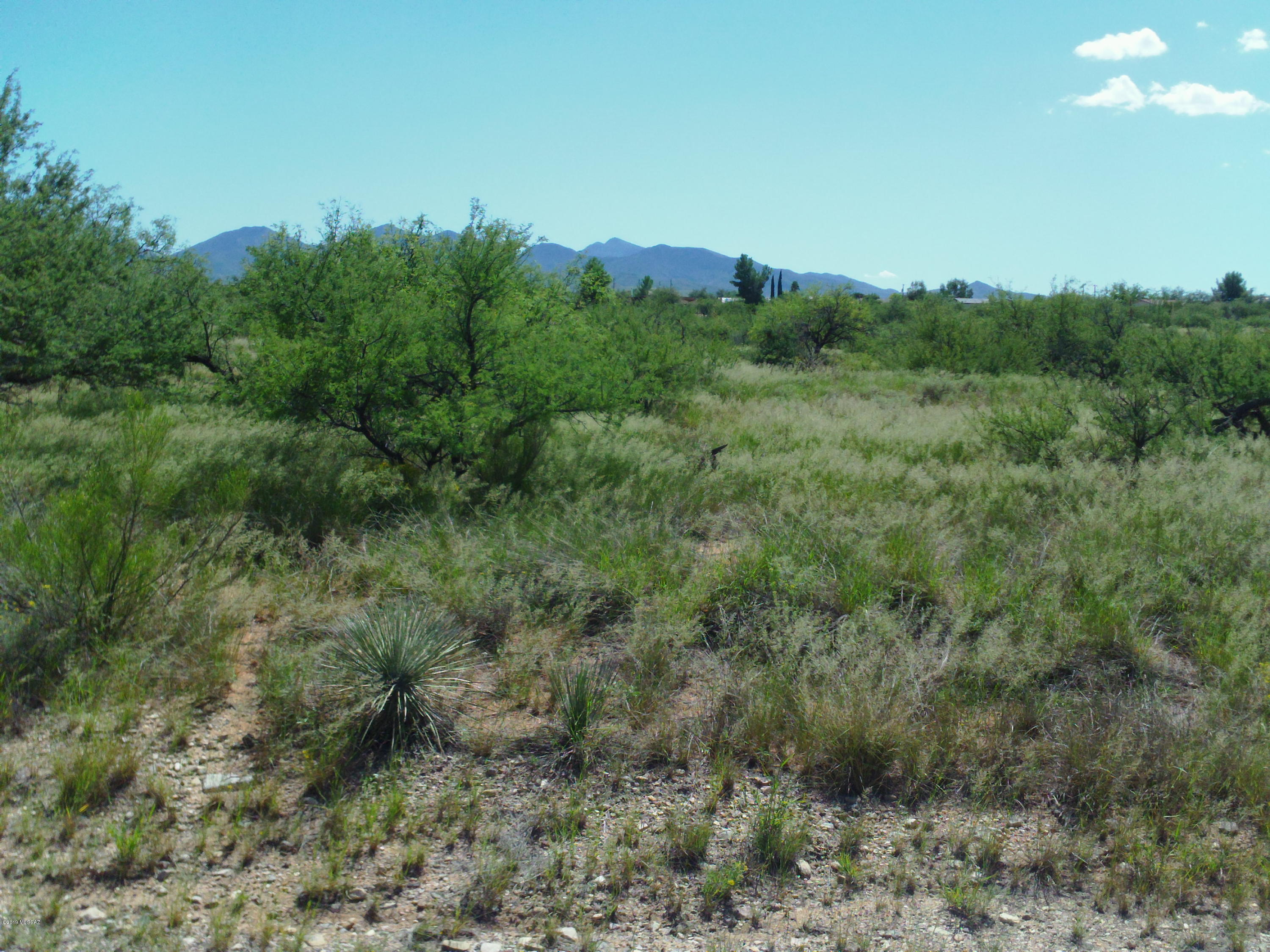High Desert Country Easy access to I-10, Wine Country, Tucson, Sierra Vista. Very Affordable 1.42 Acre lot! Built-to-suit Manufactured Home or Site-Built your choice! Utilities nearby, Buyer to research cost for hook-ups. No HOA, Don't forget to bring your ponies :-)