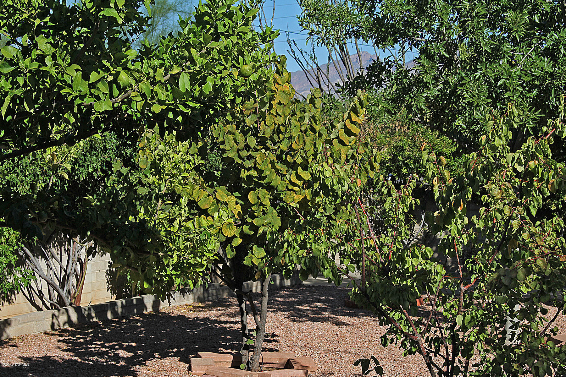 Centennial Park (1-160) - Residential