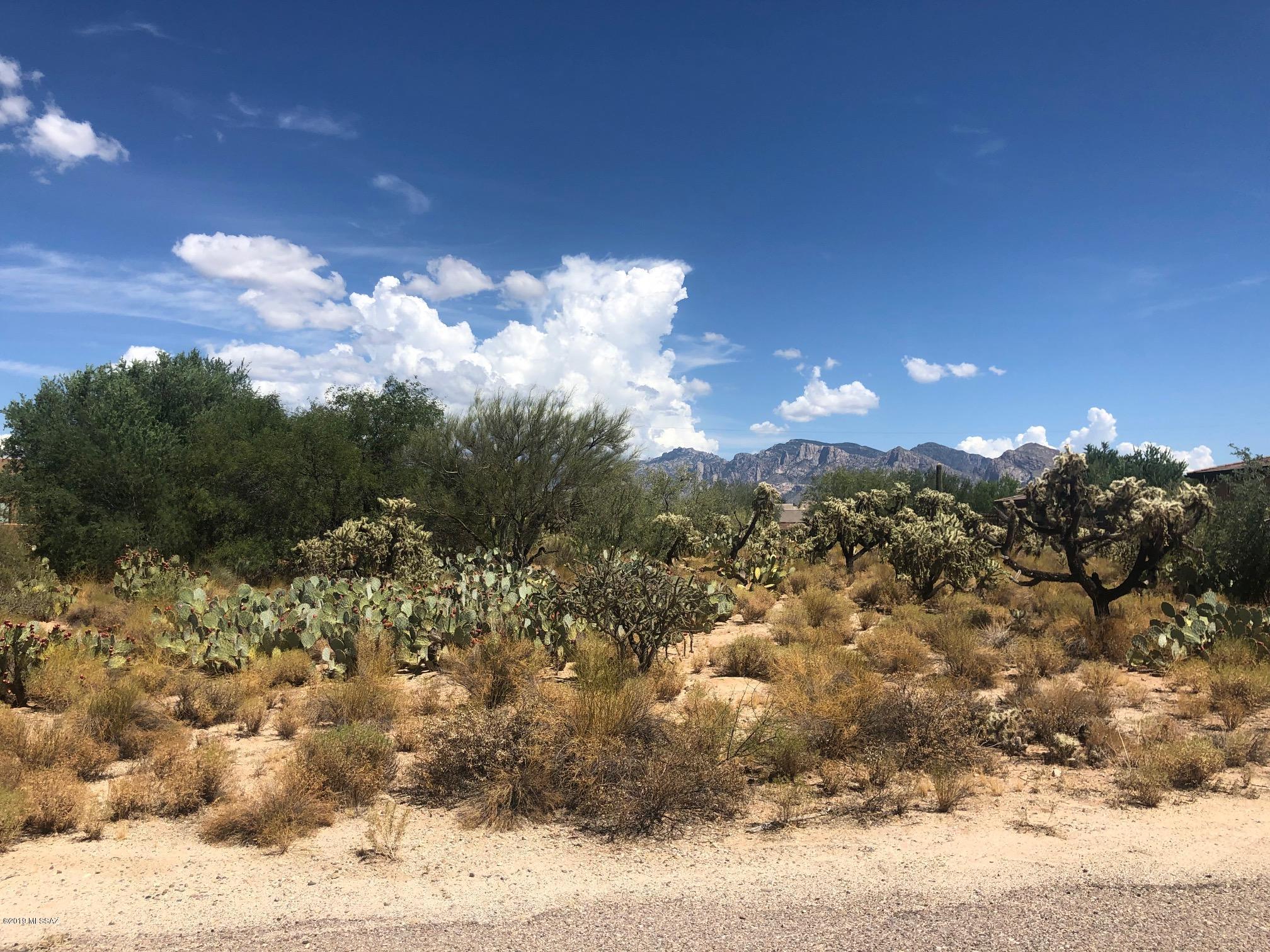 Unobstructed views of Pusch Ridge Mountains. Approximately 1 acre rectangular shaped lot. The lot is flat and easy to build on. All utilities at lot line. Well maintained subdivision mostly built-out on paved road. Septic required.
