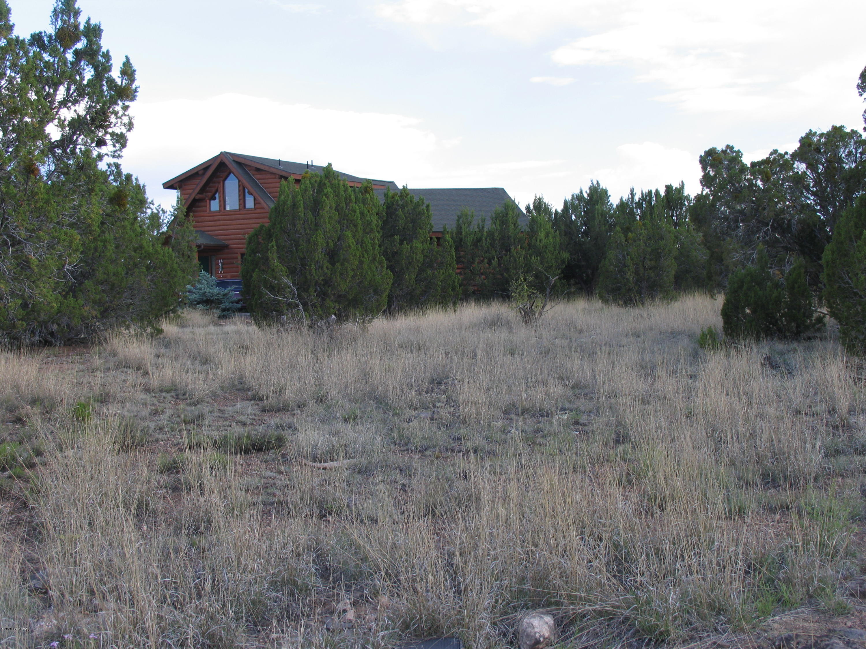 Out Of Pima County - Land