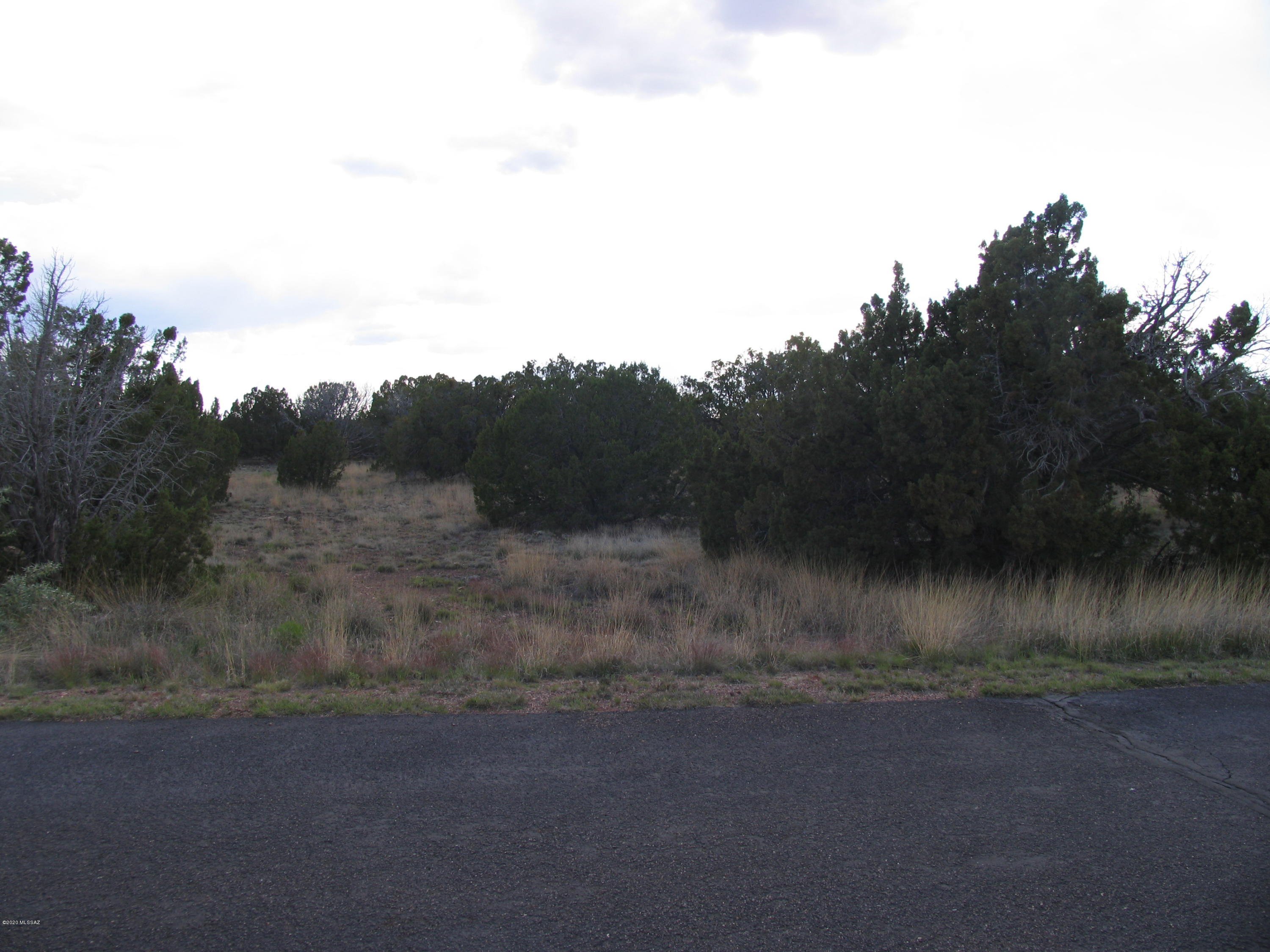 Out Of Pima County - Land