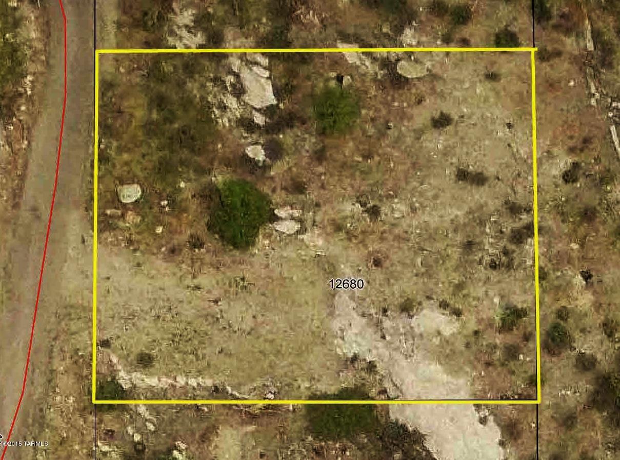 Nice large lot 12,545 with year around access County maintained and snow plowed.  Has a septic.  Looks out into full grown pines. Lot has a  easy build-able lot. Water and electric.