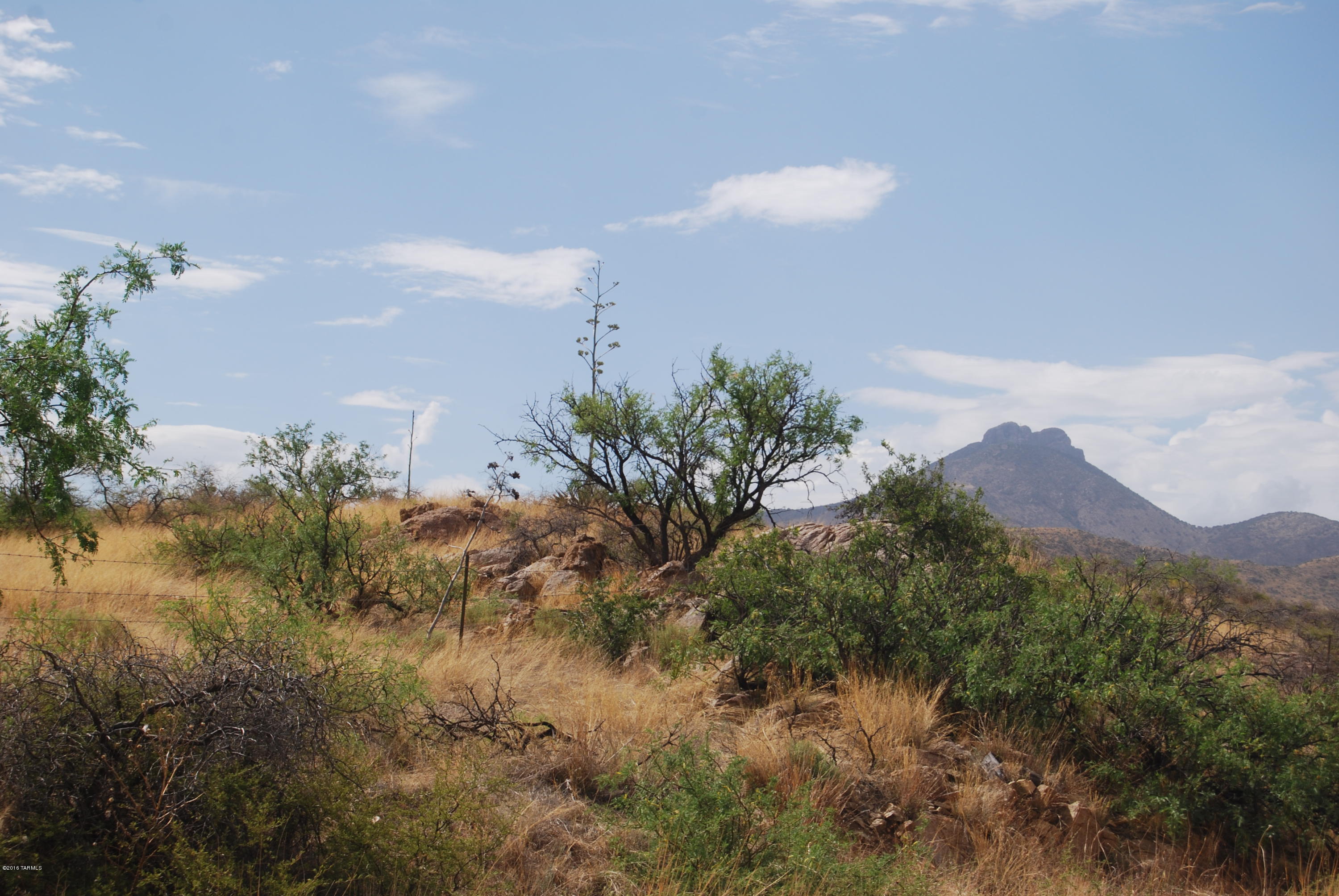 Butterfield Ranch(1-192) - Land