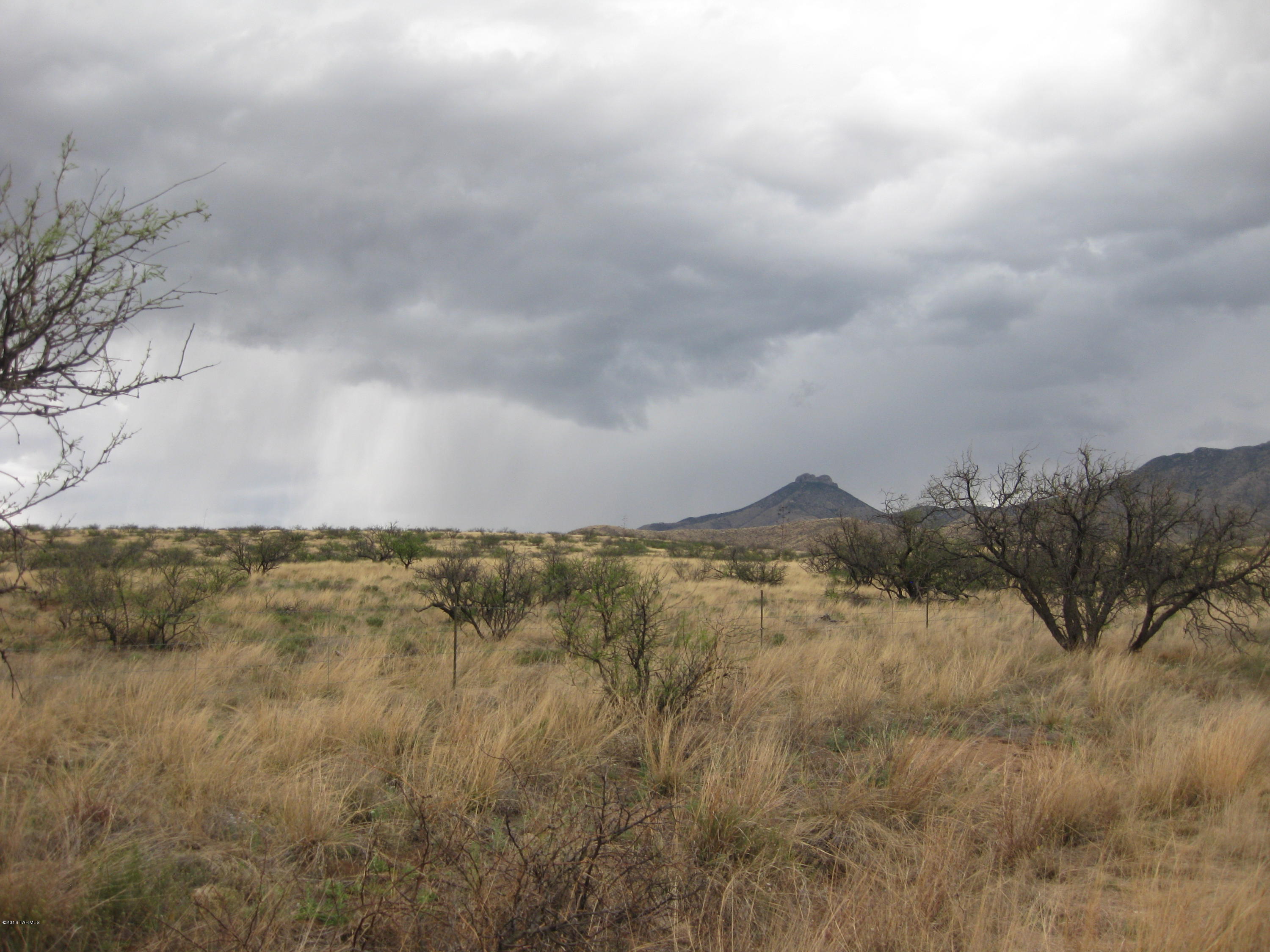Butterfield Ranch(1-192) - Land