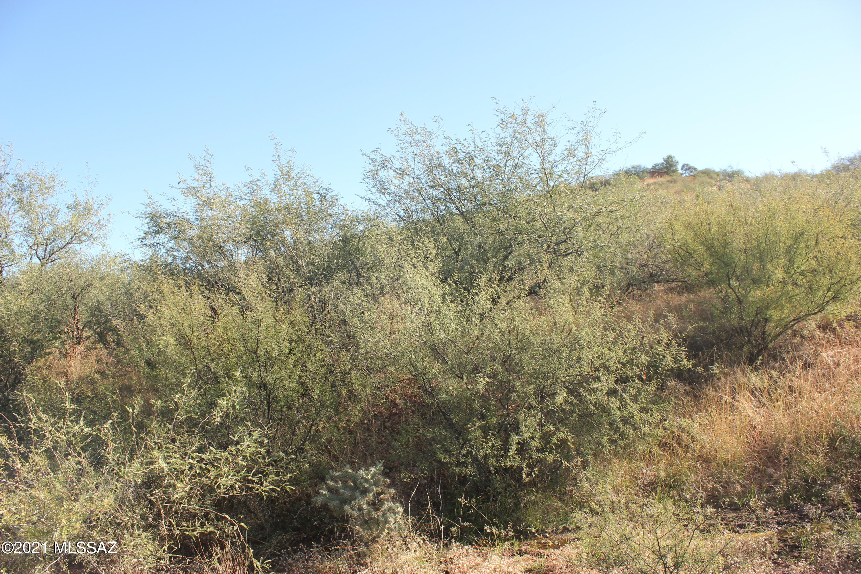 Rio Rico Estates 16 - Land