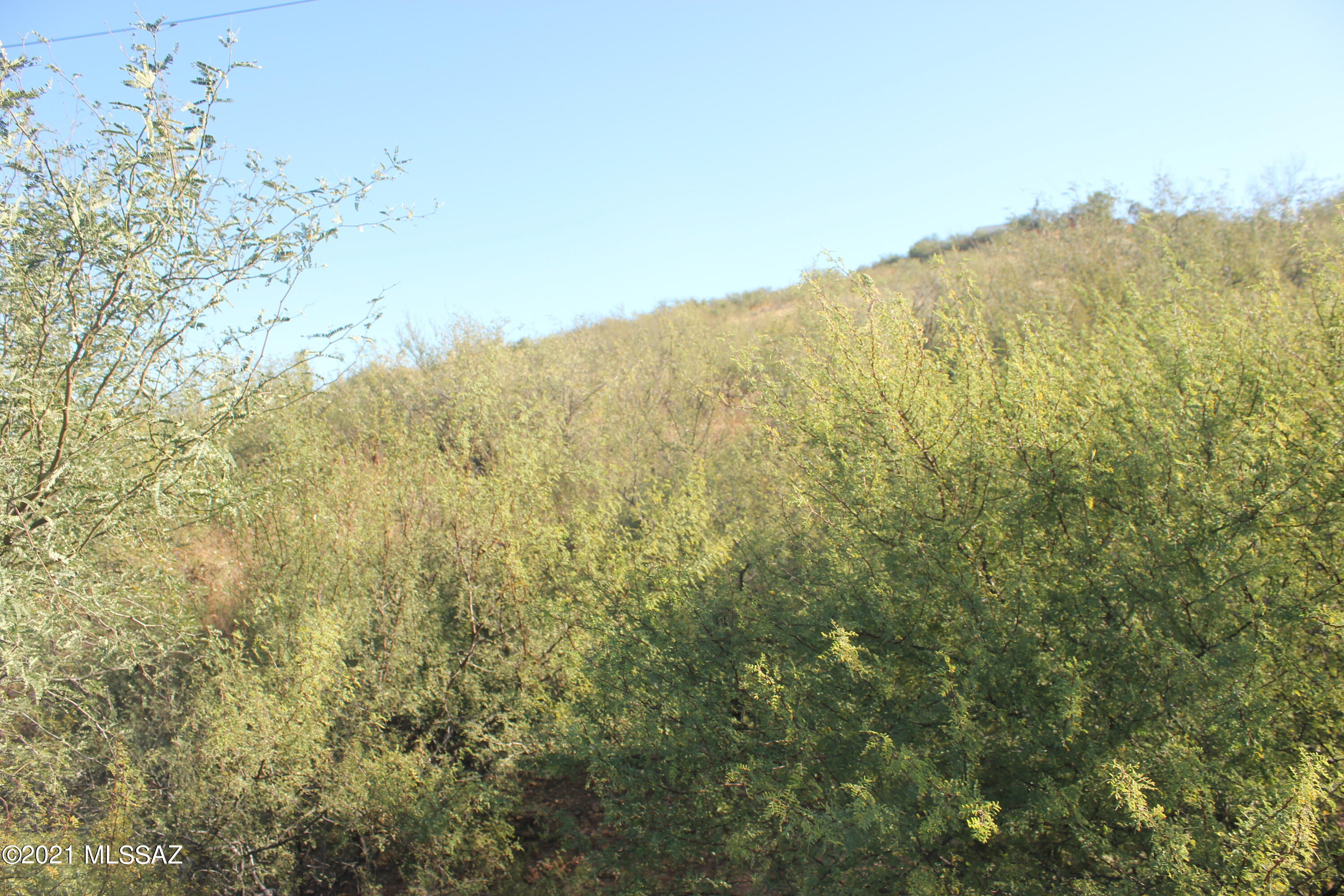 Rio Rico Estates 16 - Land