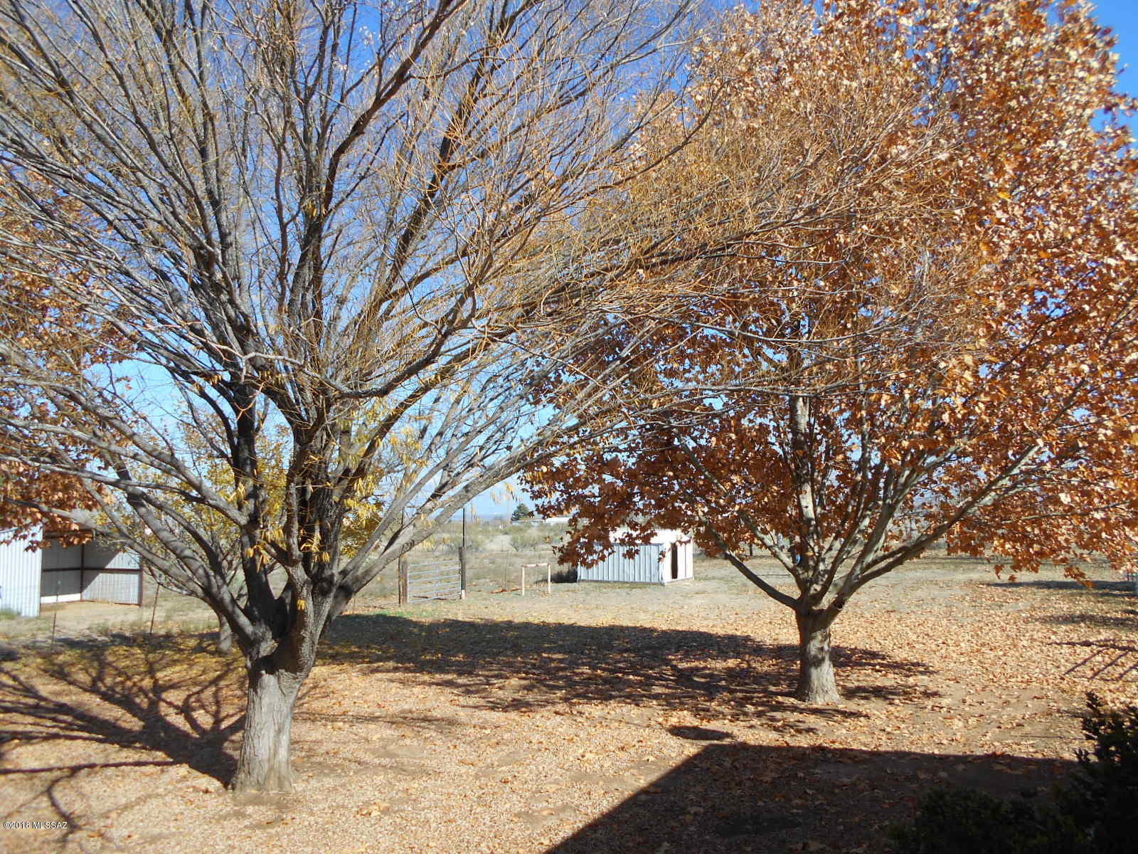 Richland Ranchettes - Residential