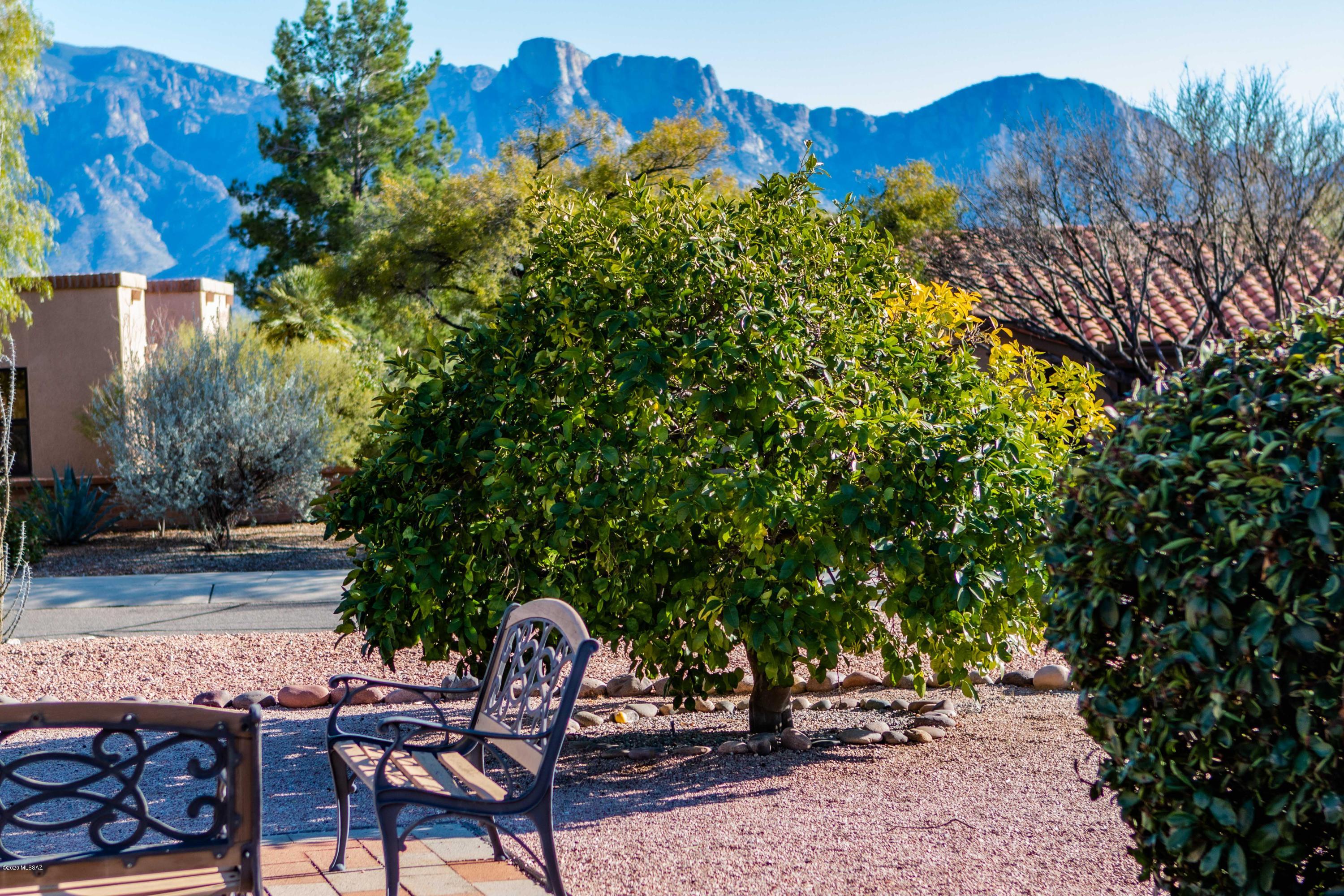 Sun City Vistoso Unit 3(1-193) - Residential